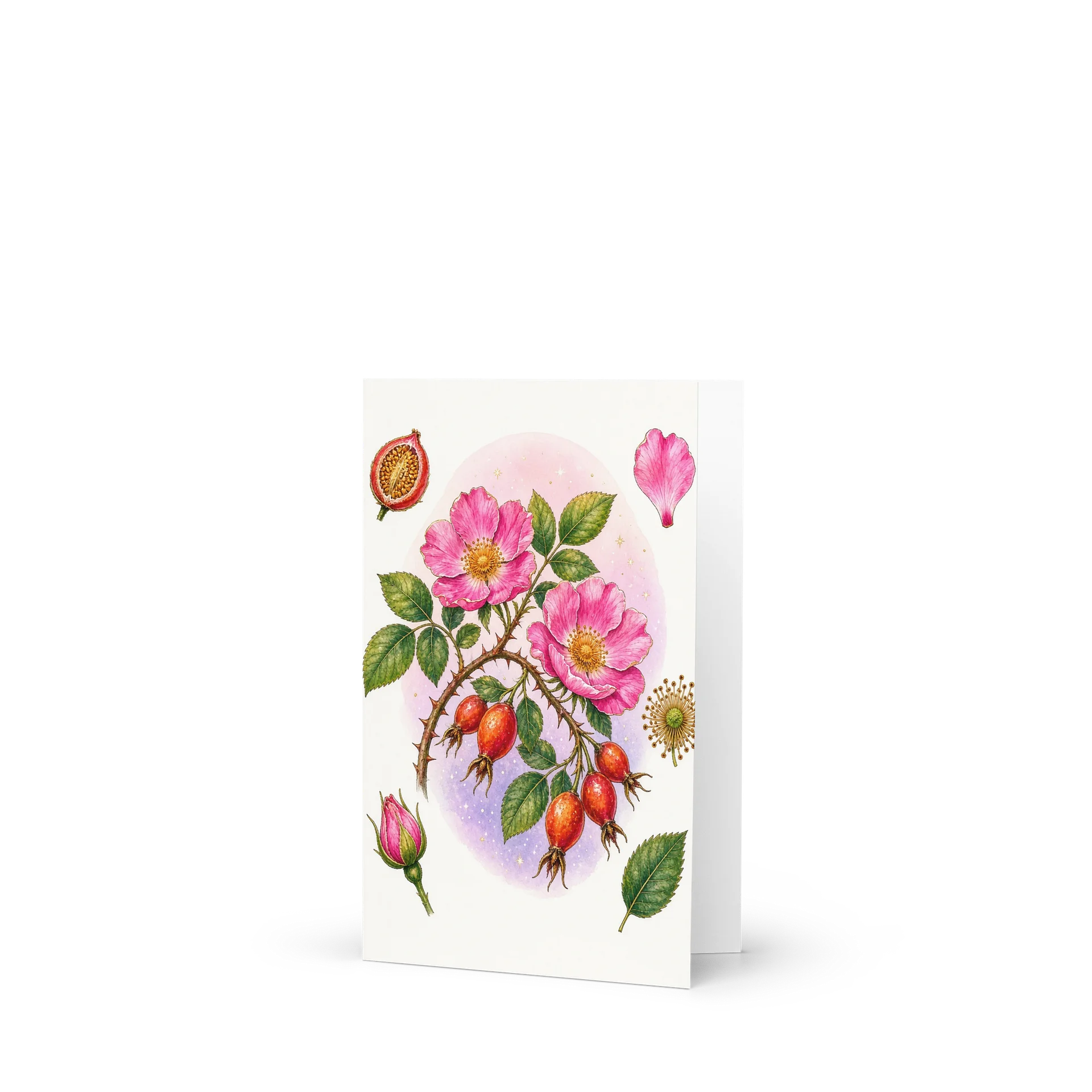 Modern Botanical Plate – Dog Rose & Rosehip Greeting Card product image (1)