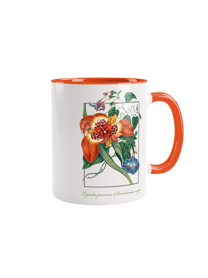 Mexican Tiger-flower, (Tigridia pavonia), and blue Convolvulus major - Ceramic mug product image (1)