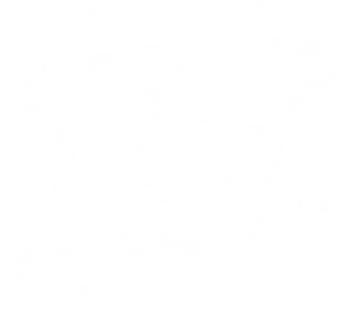 MessyOdyssey