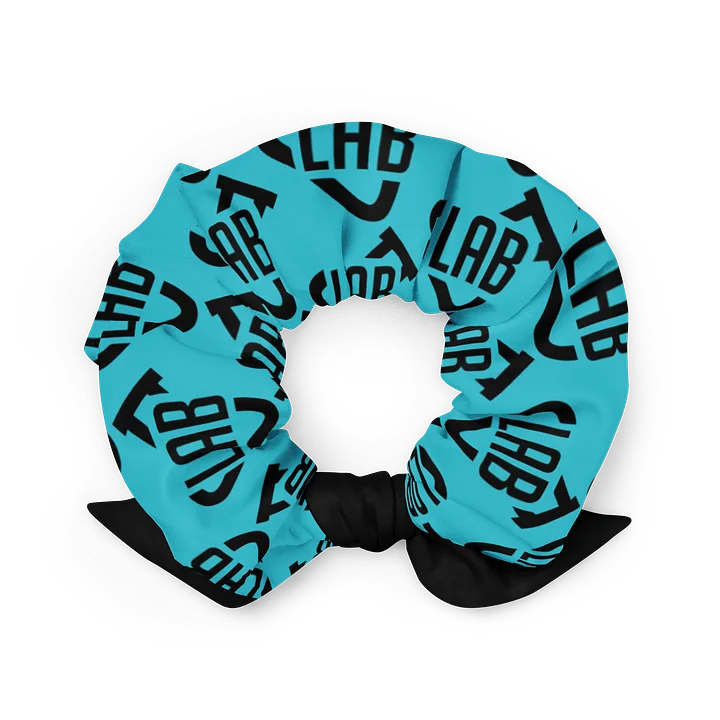 Vintage Lab Logo Scrunchie With Bow product image (2)