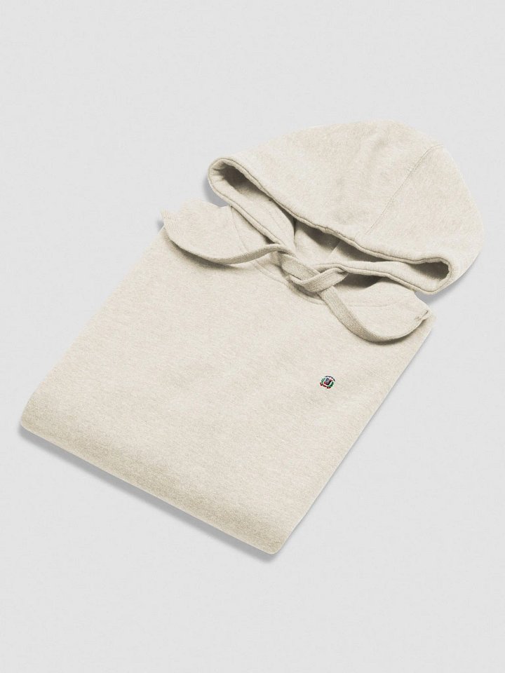 The Spun Today Dominican Escudo Hoodie product image (1)