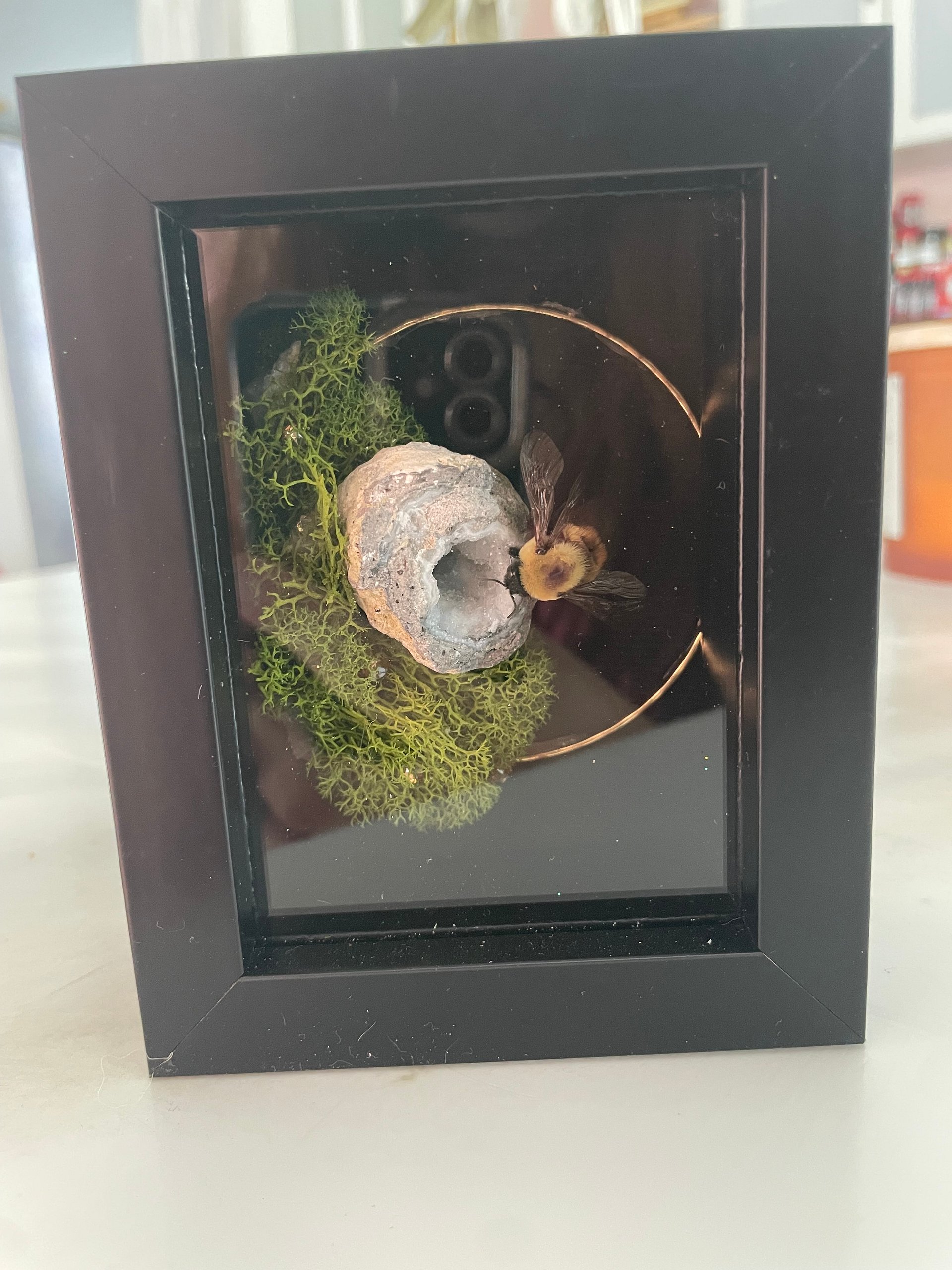 Crystallized Bumblebee Shadowbox product image (1)