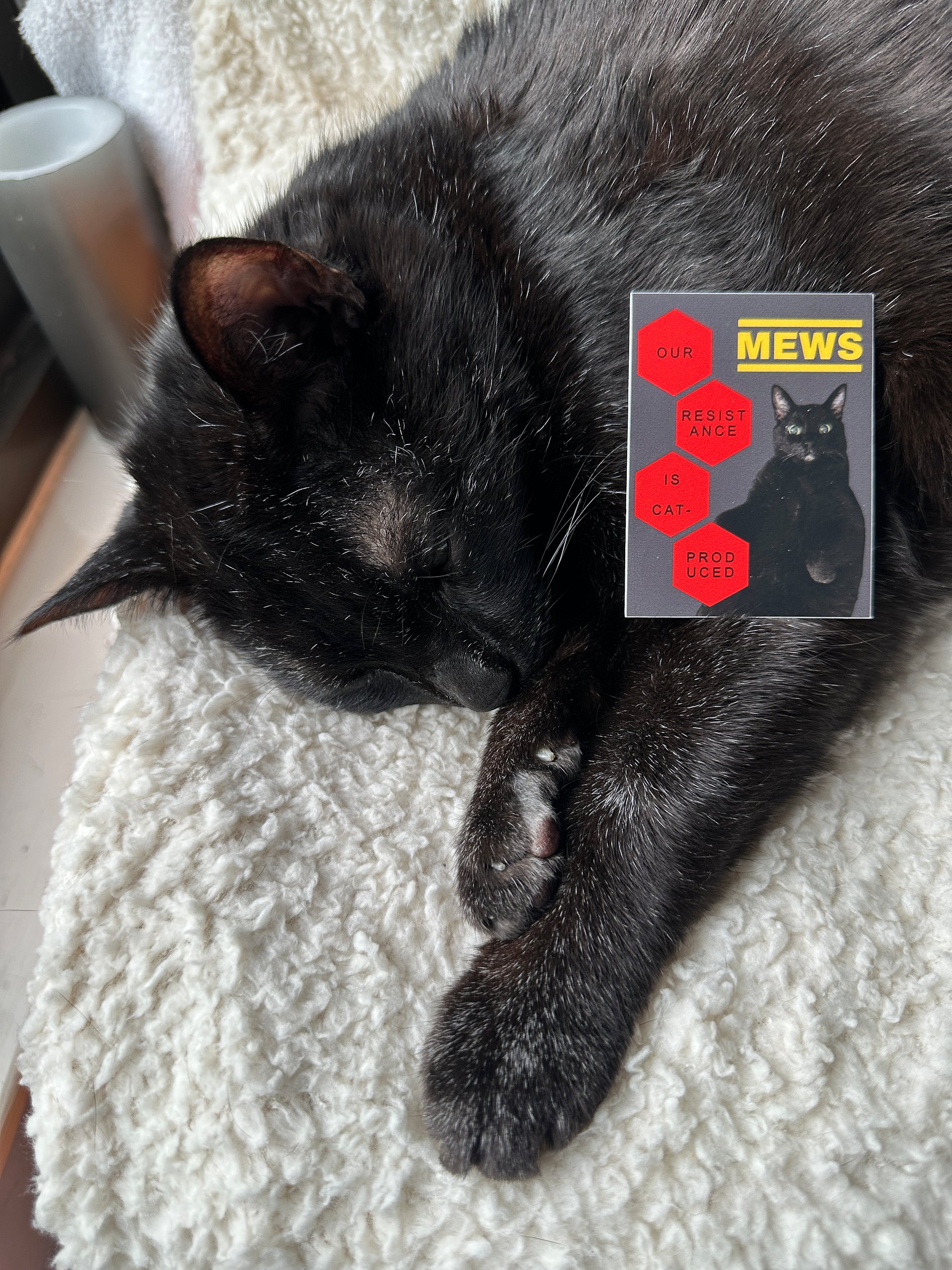 Our Resistance Is Cat-Produced sticker product image (2)