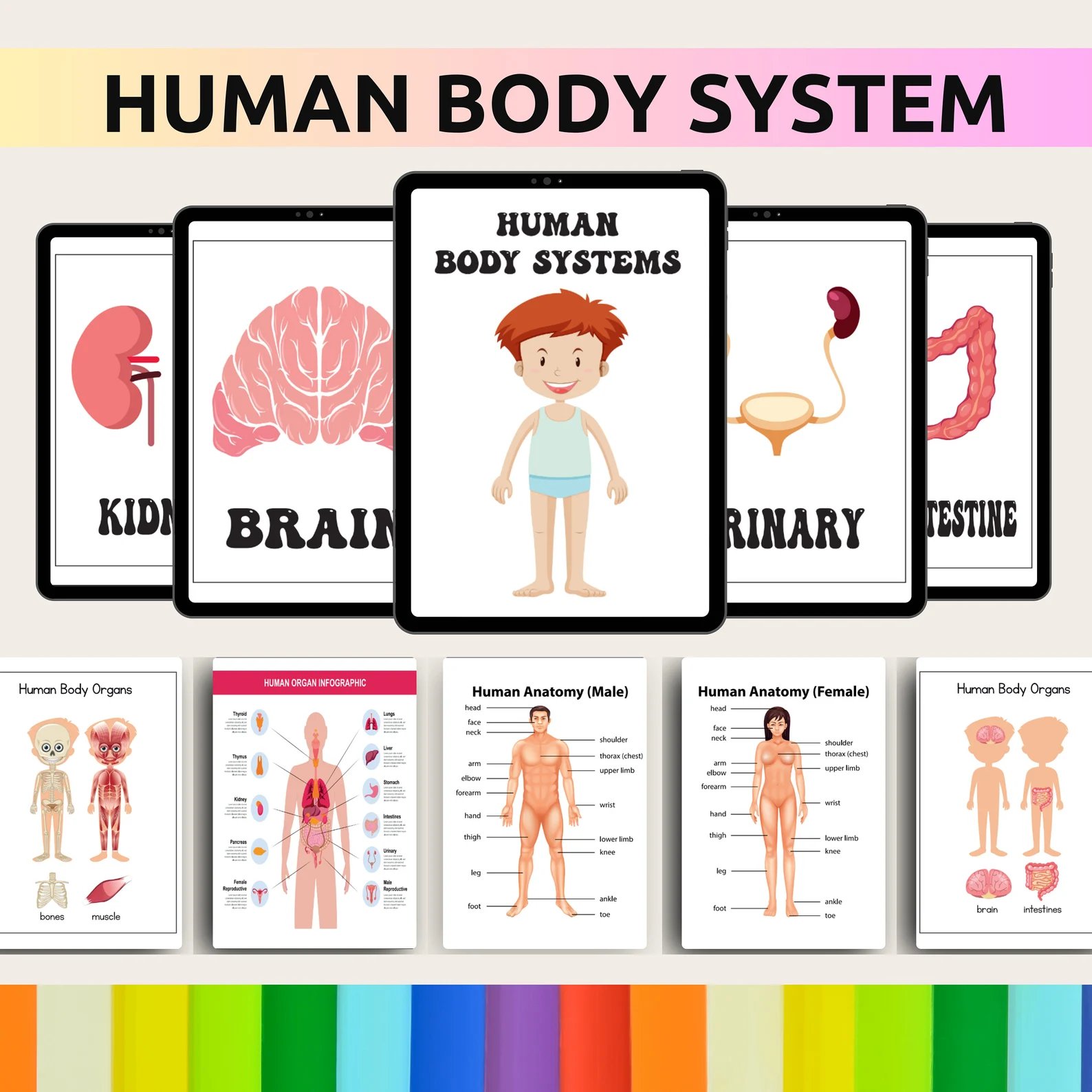 Done for You 35000+ Educational Resources Bundle with MRR/PLR product image (3)