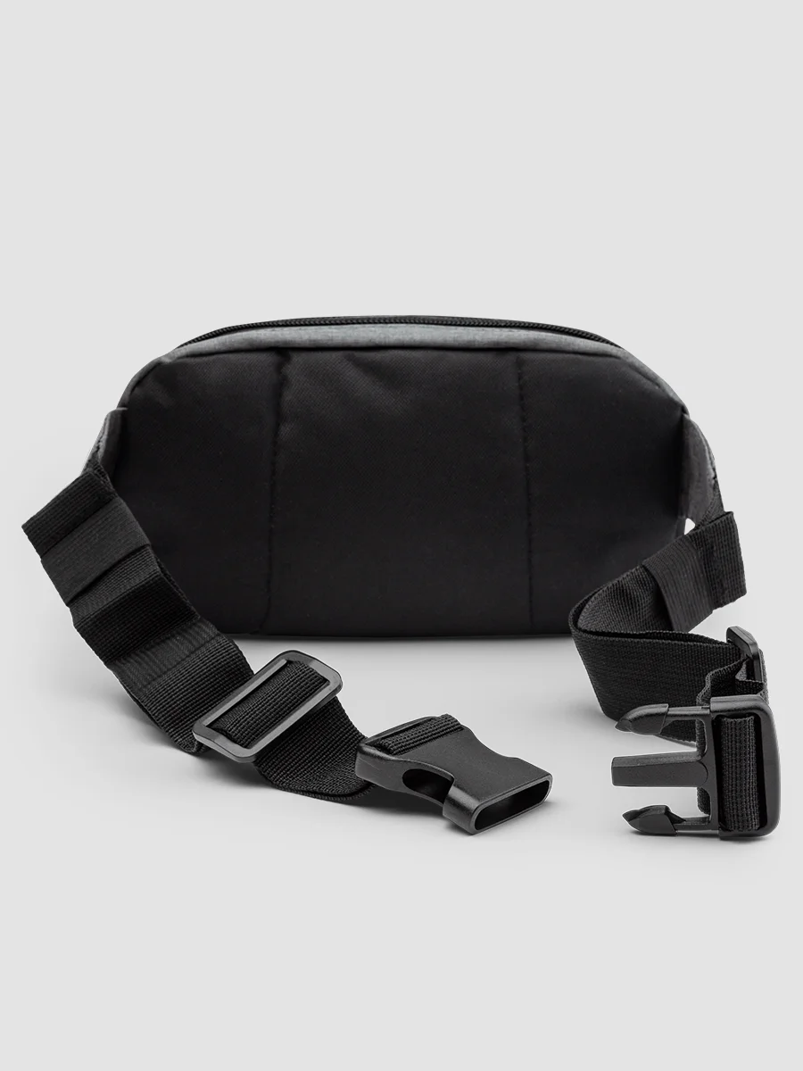 synth x champion fannie pack product image (6)