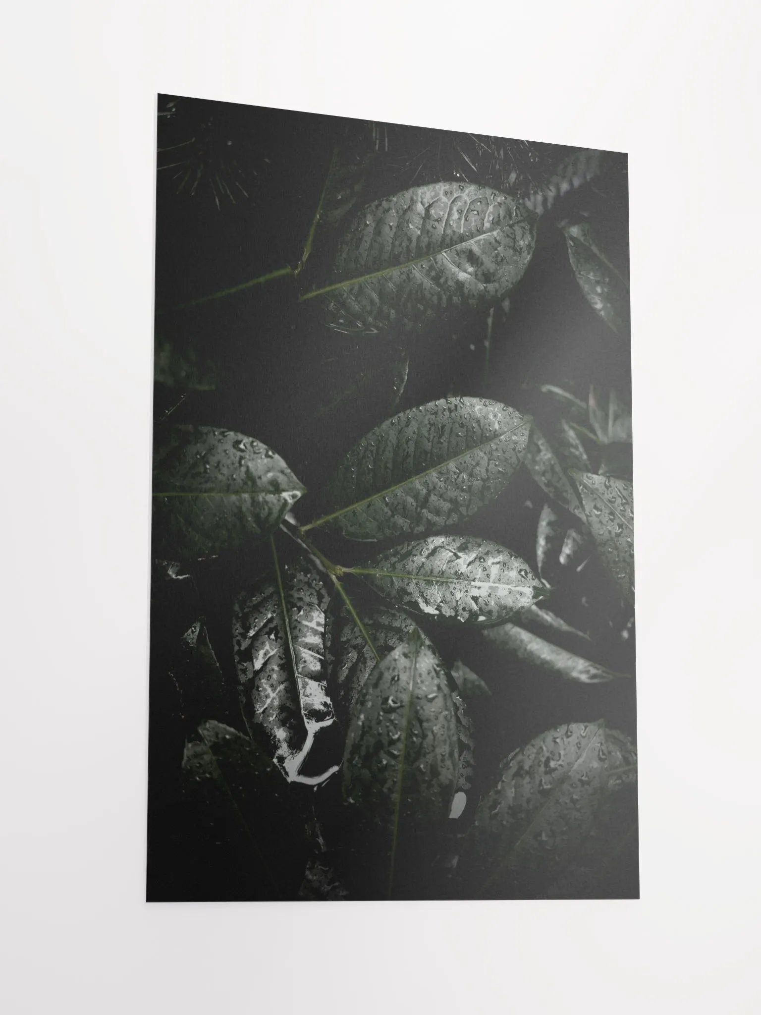 Winter Leaves - Matte Poster product image (4)
