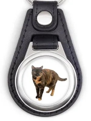 Keychain 🔑 product image (2)