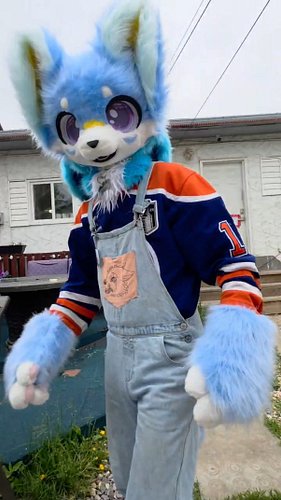 The instructions were very clear

#furry #furryfandom #furrycommunity #furrytiktok #funnyvideos