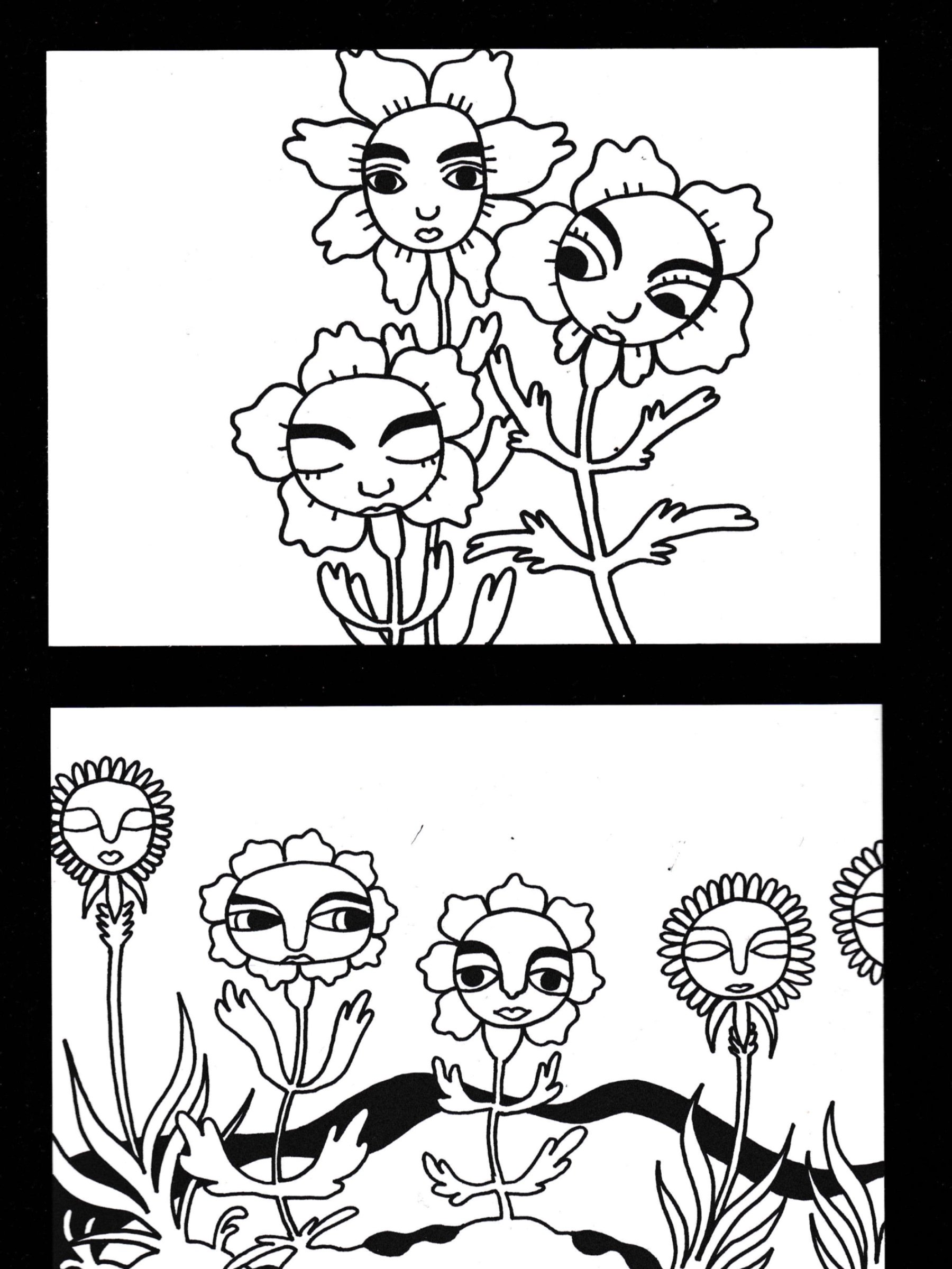 for a flower that needs color product image (3)
