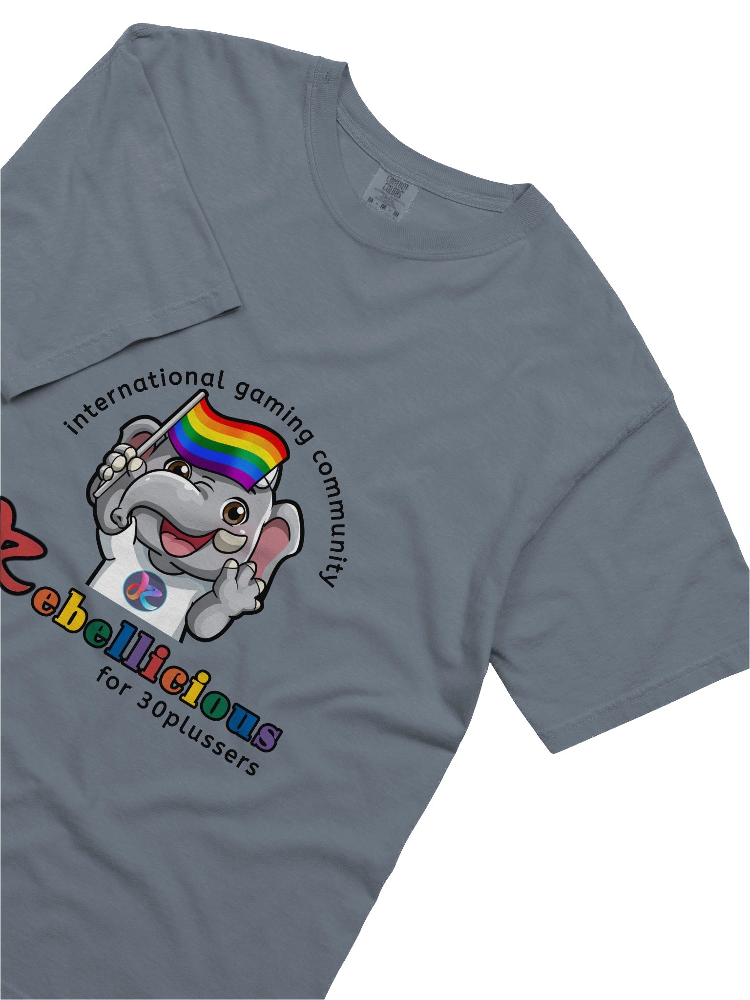 Comfort Colors Pride T-shirt product image (65)