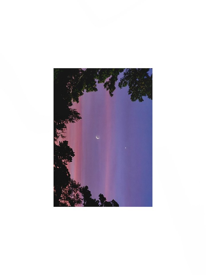 A Quiet Companion - Print product image (1)