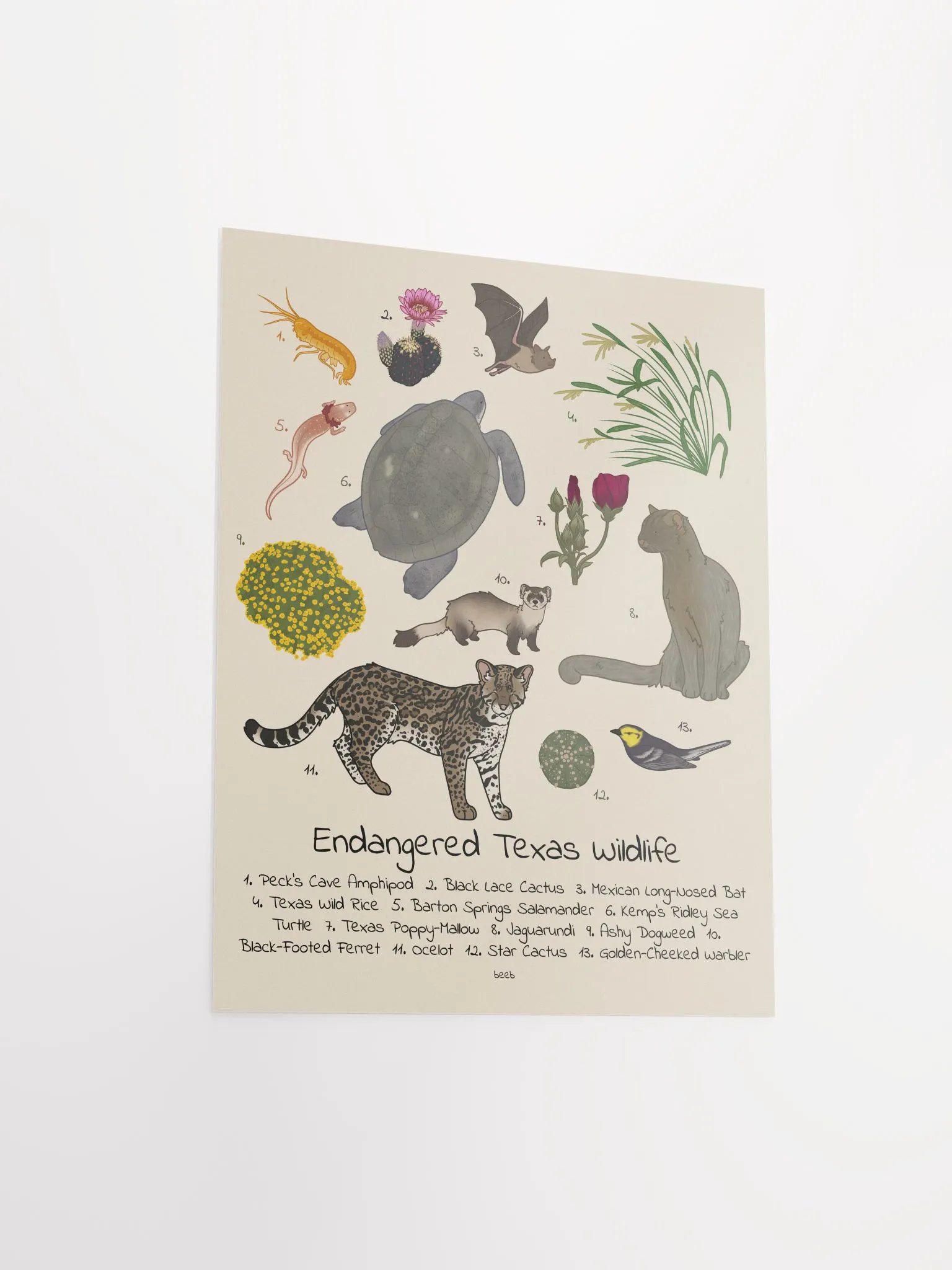 Endangered Texas Wildlife Print product image (8)