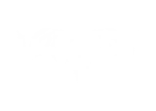 Vortrox