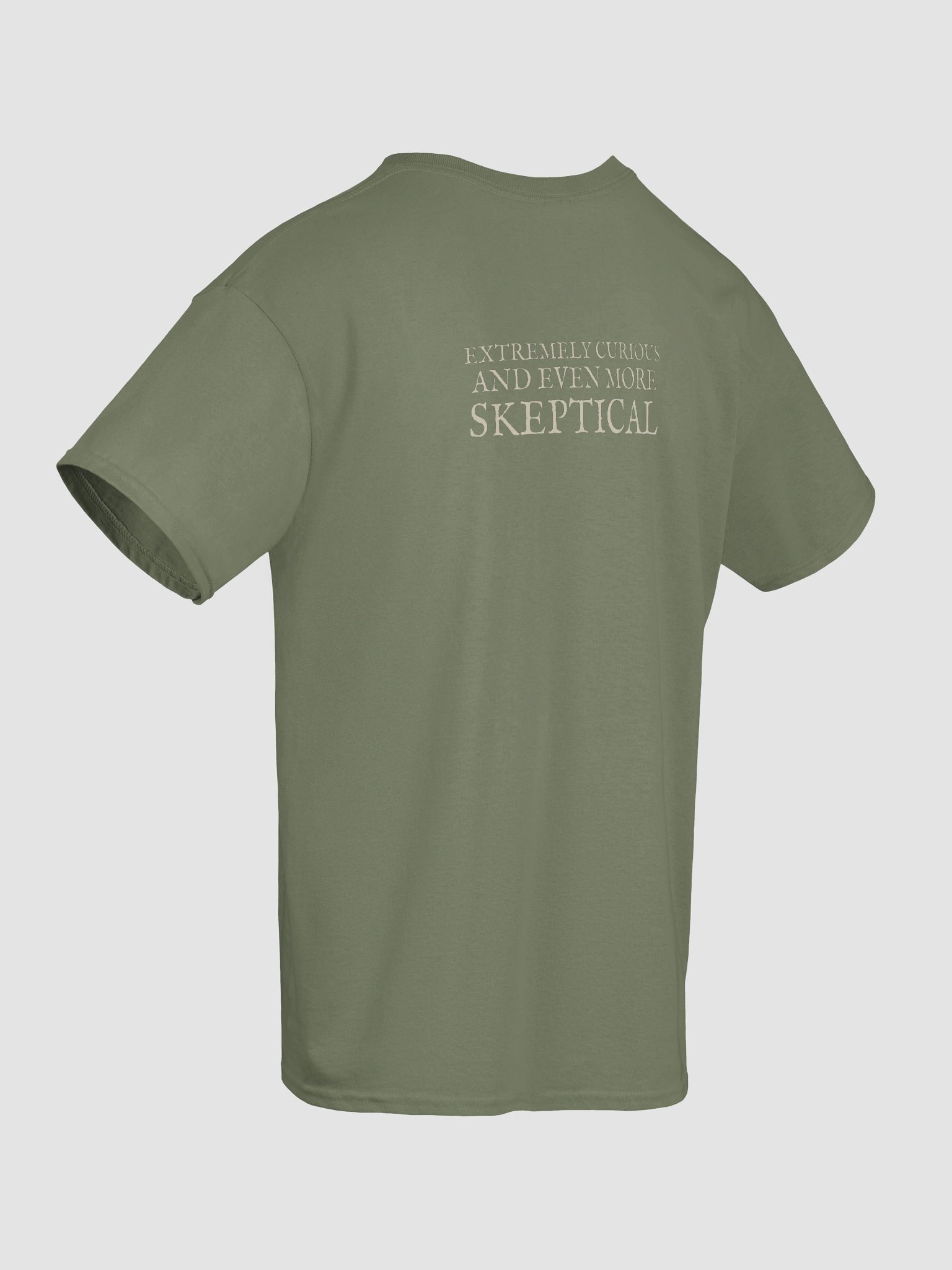 Alice and Pig + Extremely Curious and Even More Skeptical Unisex Heavyweight Cotton T-Shirt, Original John Tenniel Illustration product image (48)