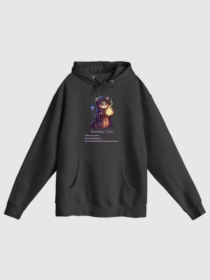 RPG Sorcerer Cat unisex medium-heavy fleece lined hoodie for gamers and cat lovers product image (1)