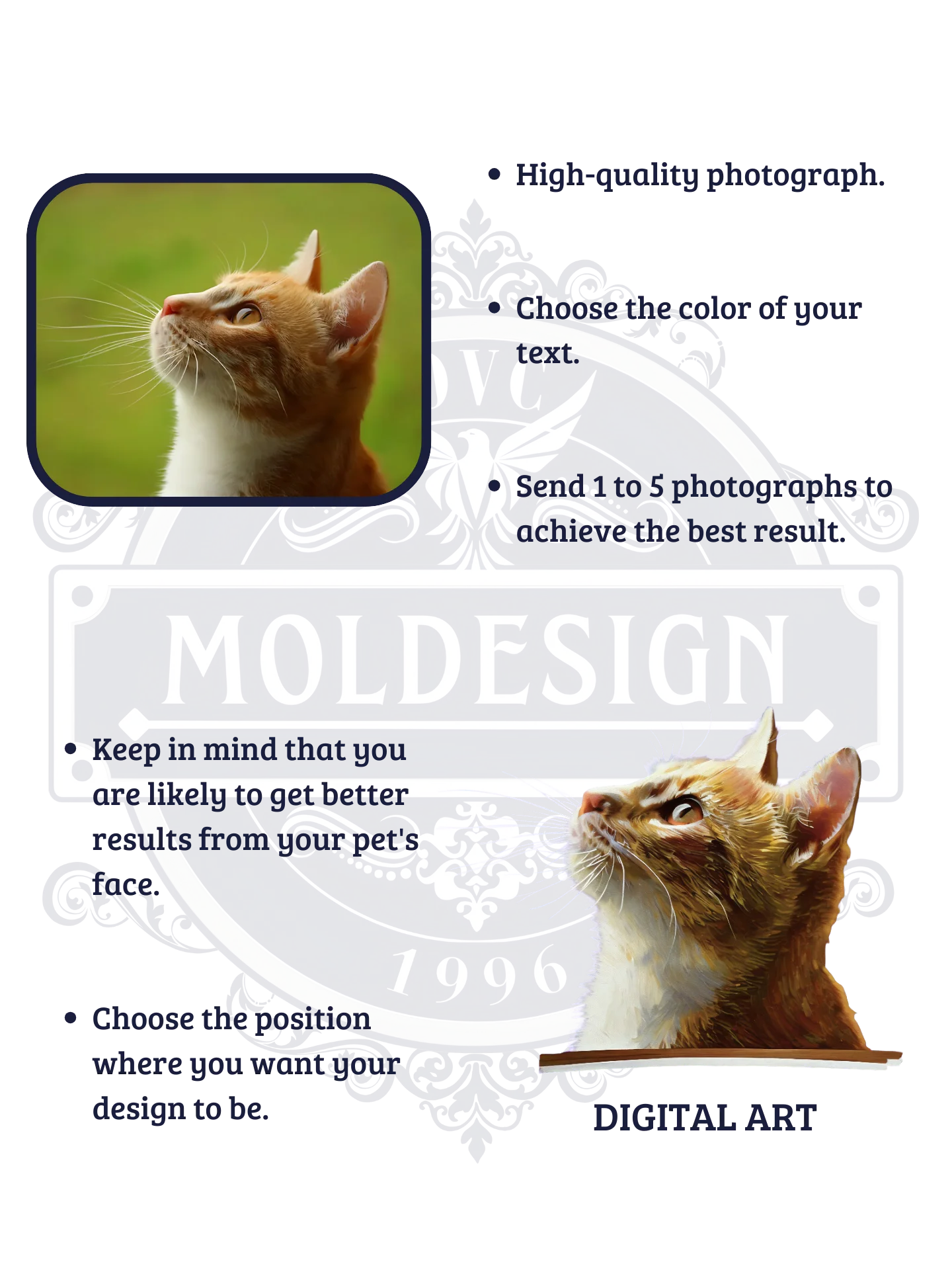 YOUR CAT! / T-SHIRT WITH PERSONALIZED NAME / DIGITAL ART product image (5)