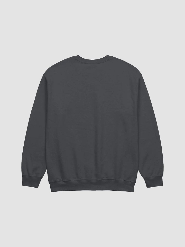 ST 4 Sweatshirt product image (13)