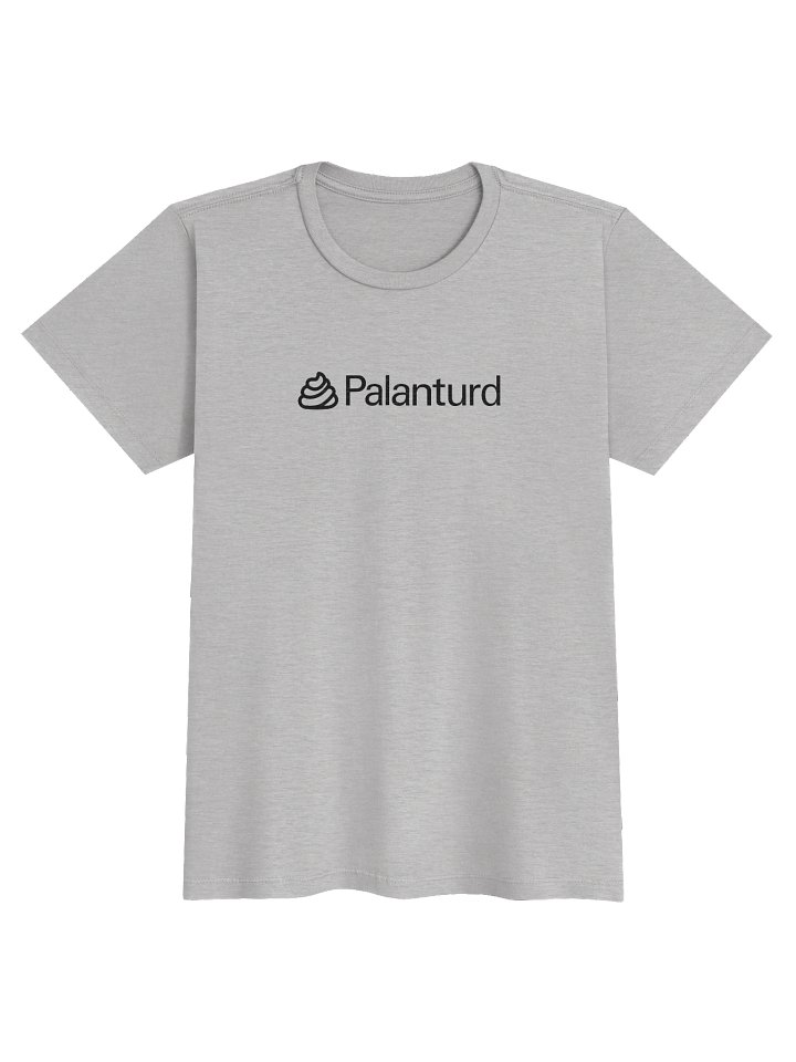 Palanturd Women's Gray T-Shirt product image (1)