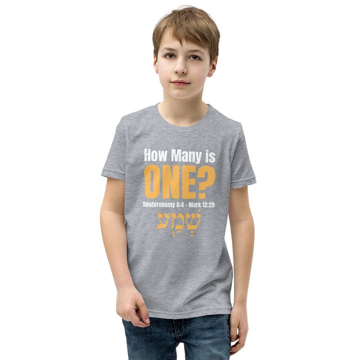 How Many is One Youth T-Shirt product image (1)