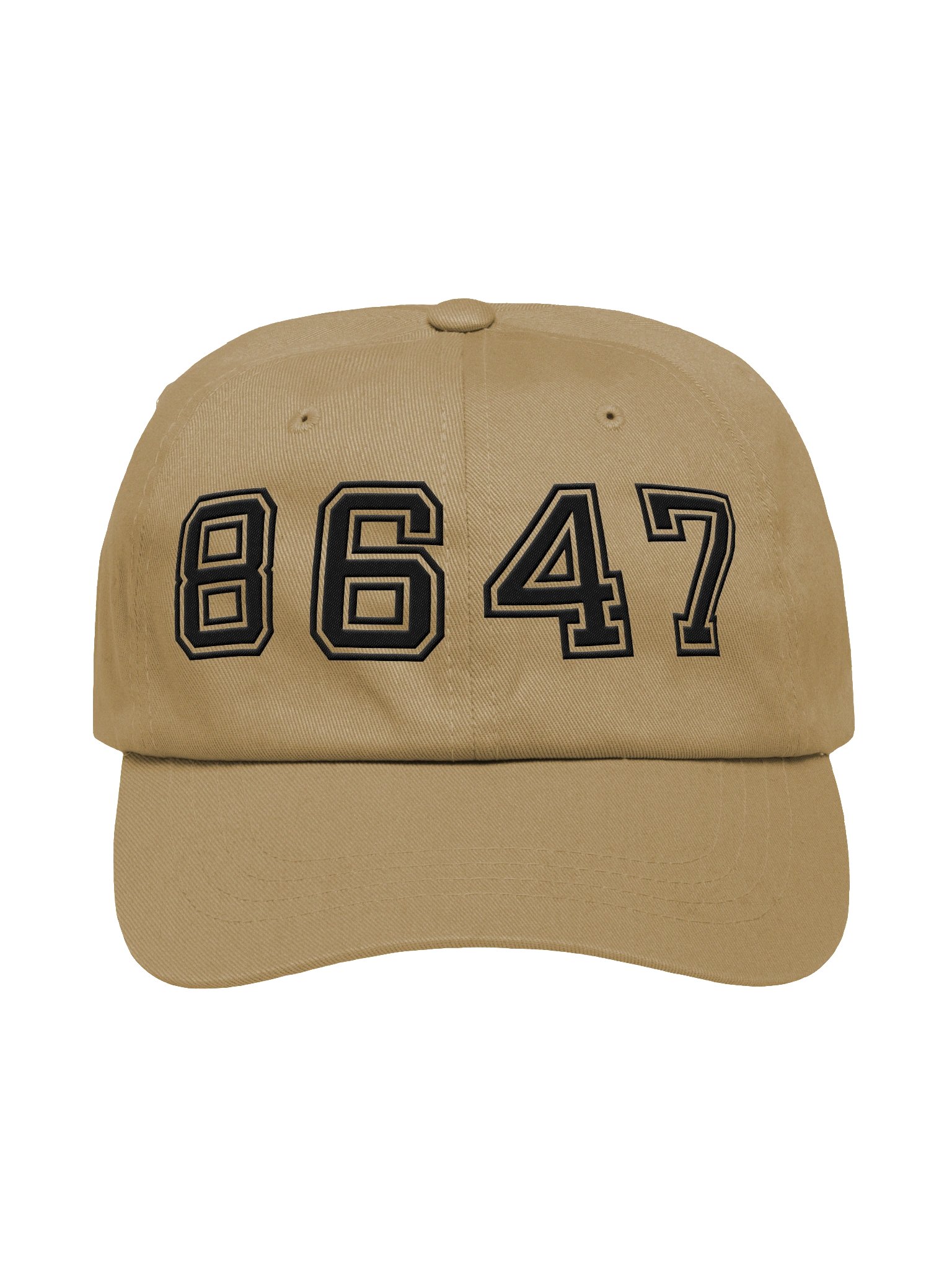 8647 dad hat college dark product image (1)