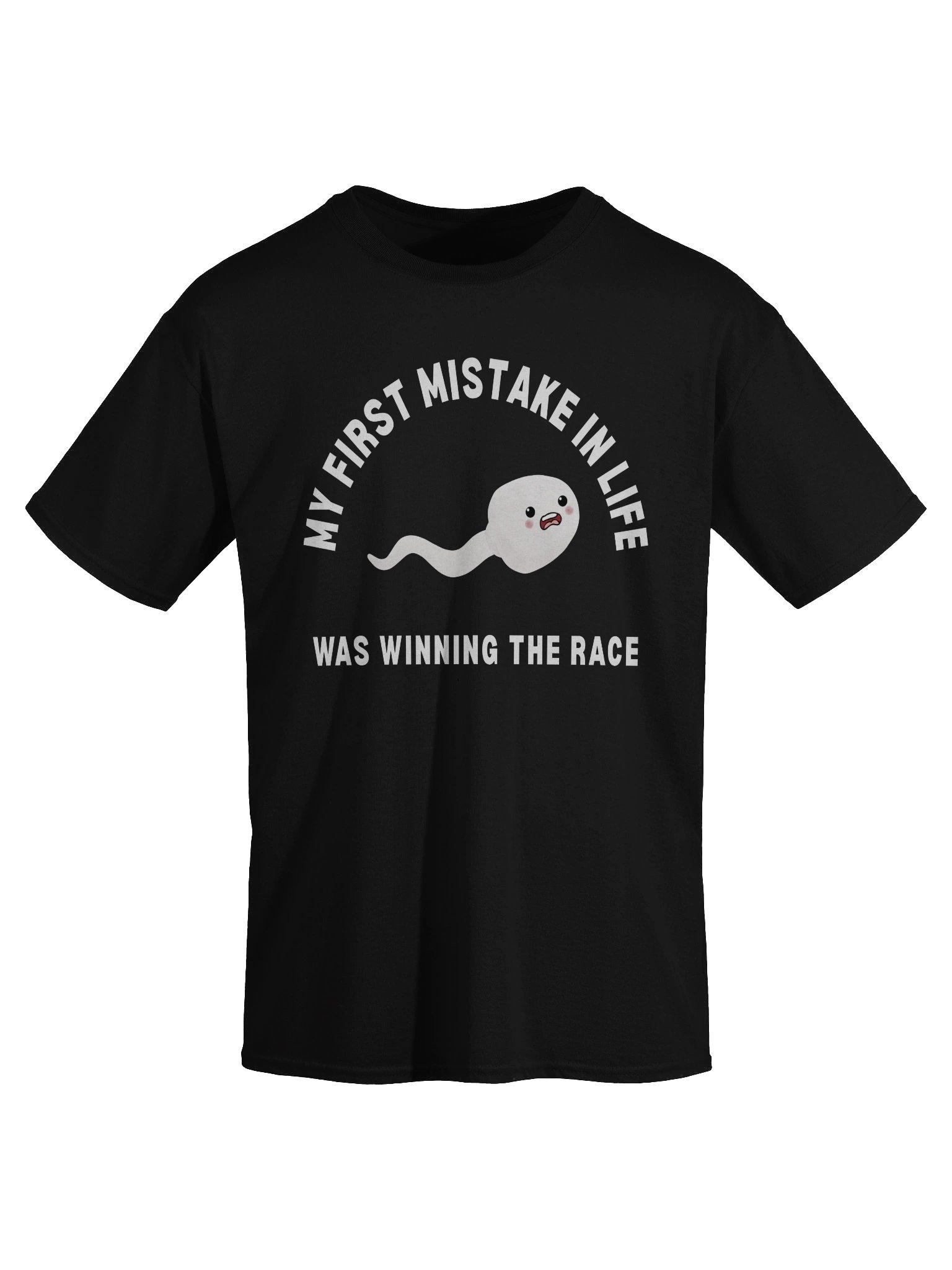 My First Mistake In Life Was Winning The Race T-Shirt product image (3)