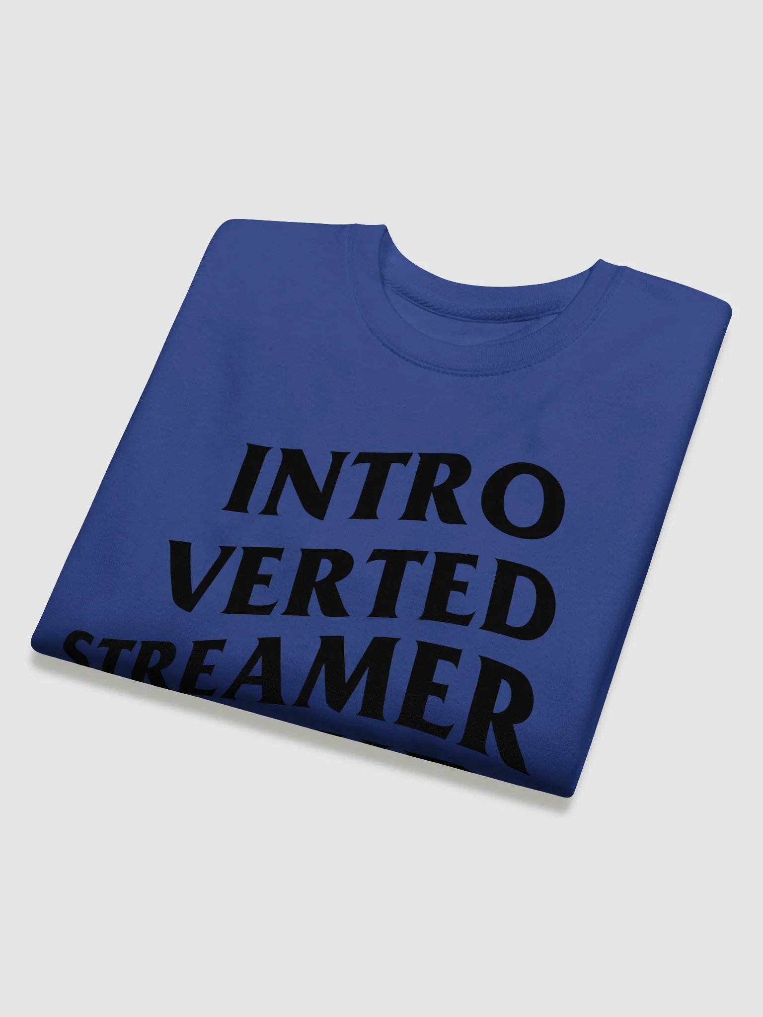 Introverted Streamer Club Sweatshirt product image (20)