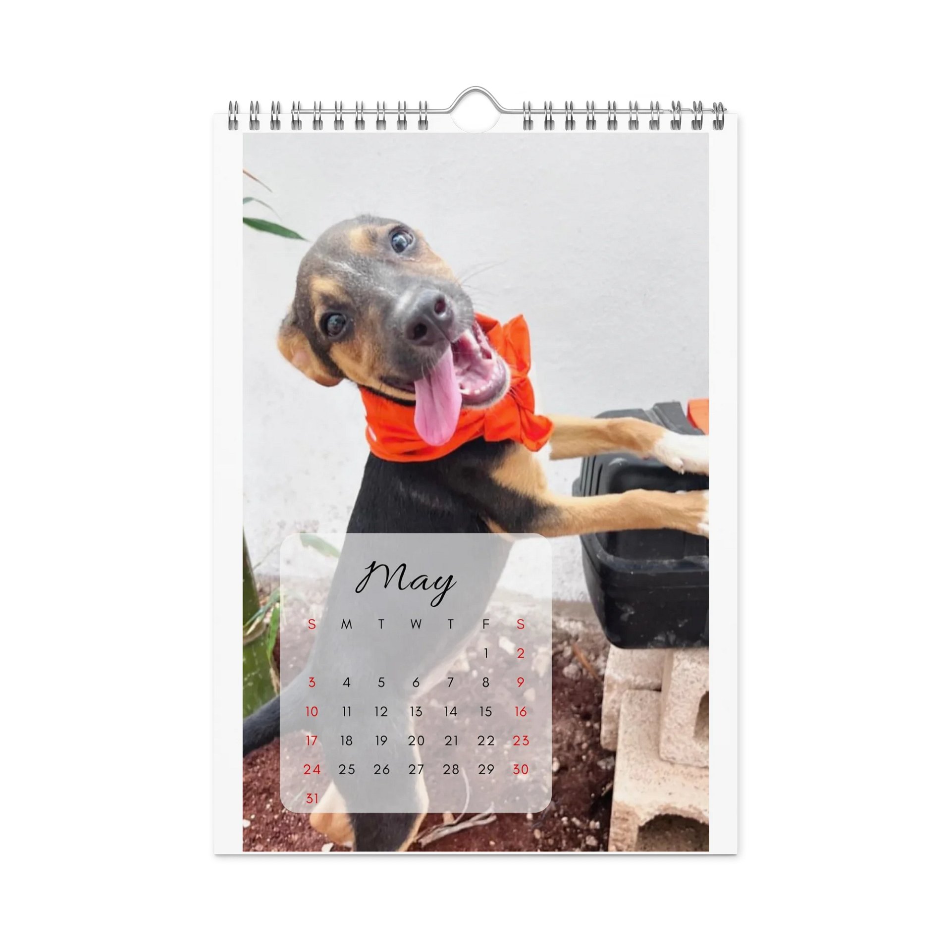 Isla Animals Calendar 2026 product image (9)