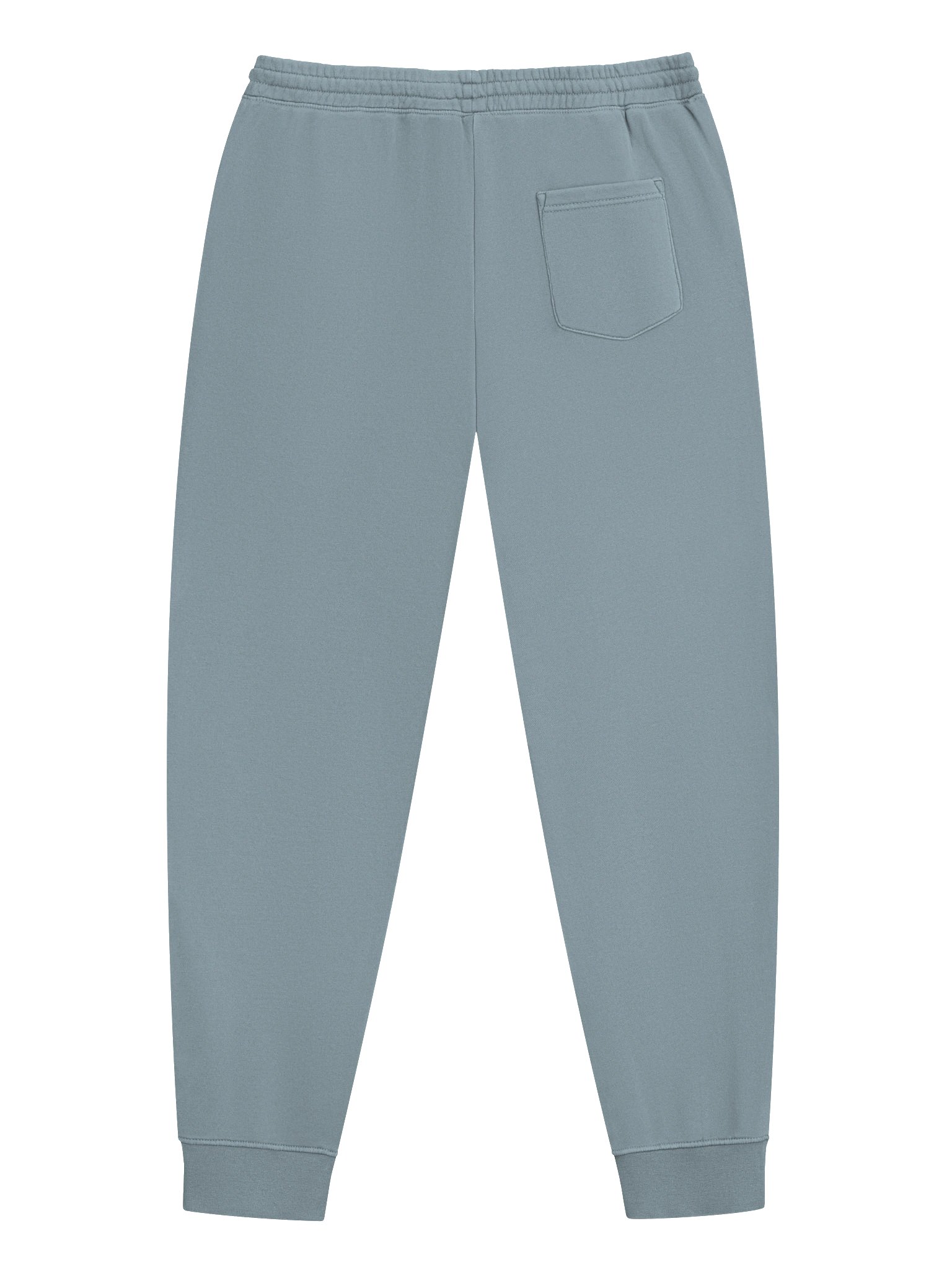 Quantum Wonders Pigment-Dyed Slate Blue Joggers product image (2)