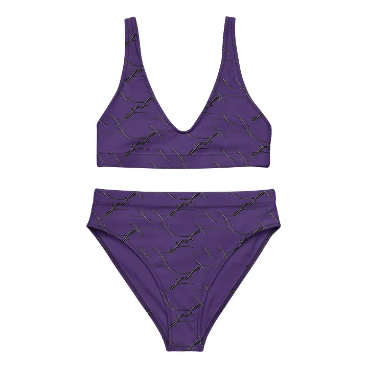 Purple Noir | High Waisted Bikini product image (2)
