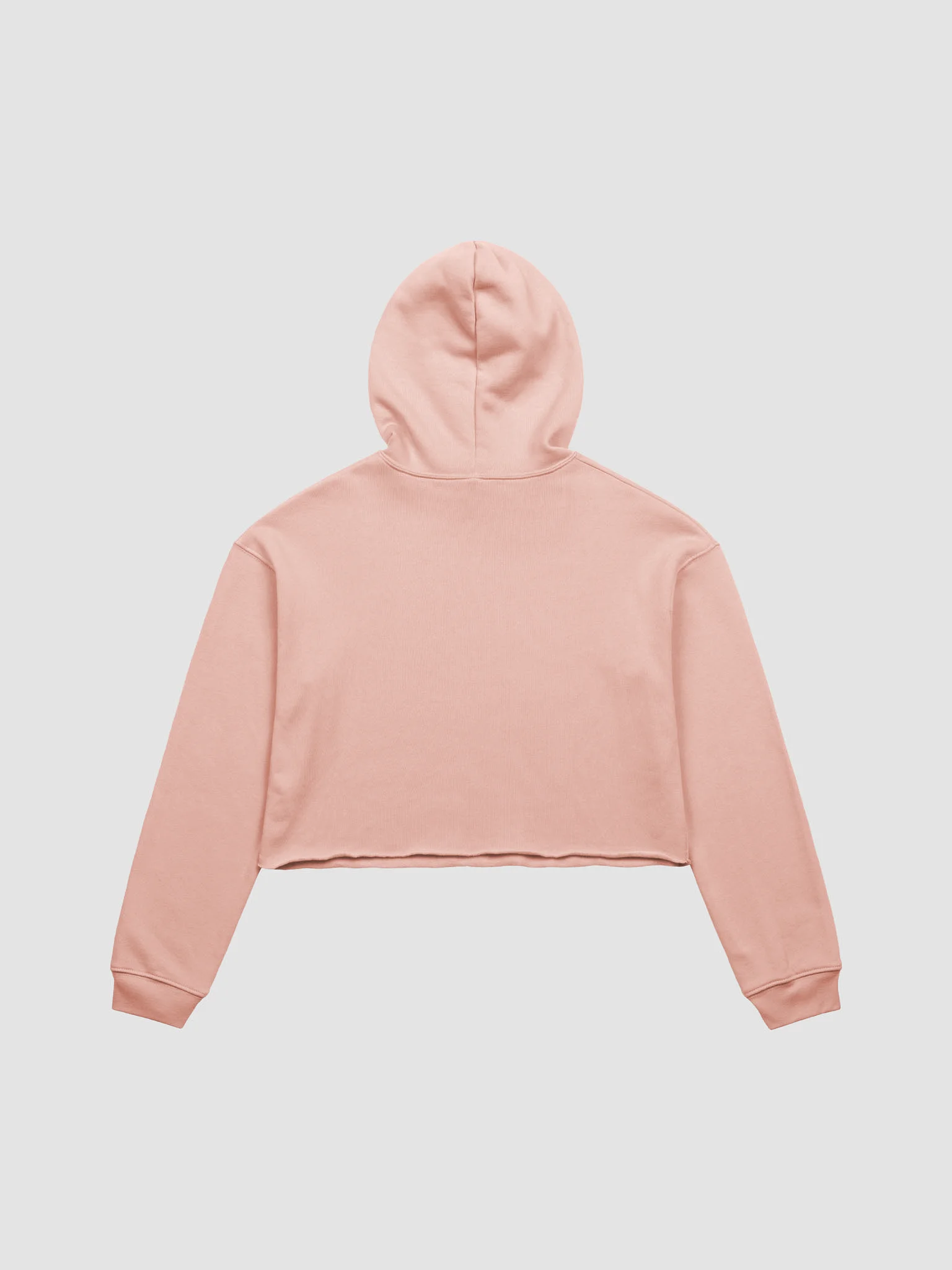 Starry Globe Emblem Crop Hoodie product image (2)
