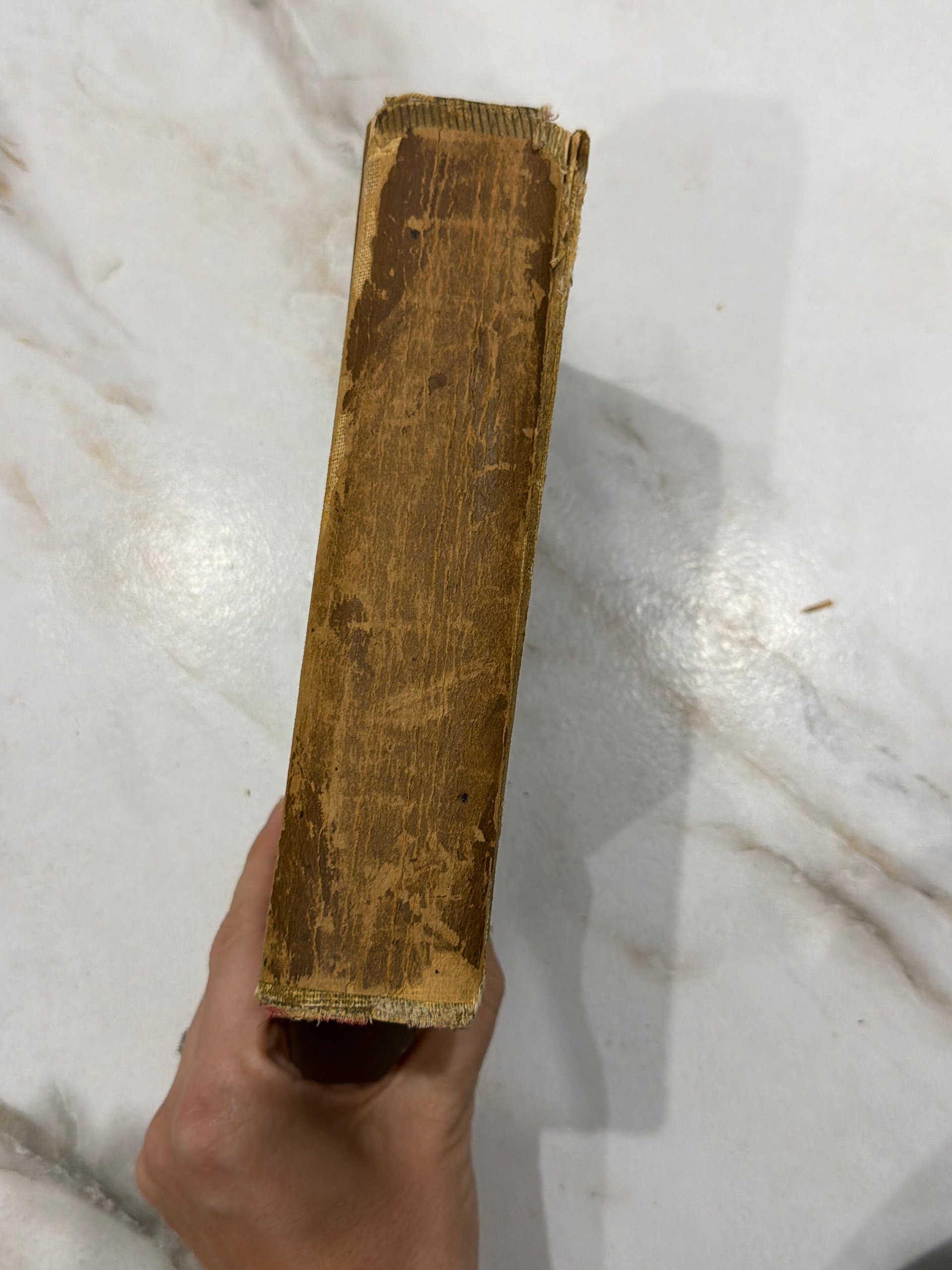 1904 | A General History for Colleges and High Schools | P. V. N. Myers, A.M. | Antique Hardcover product image (2)