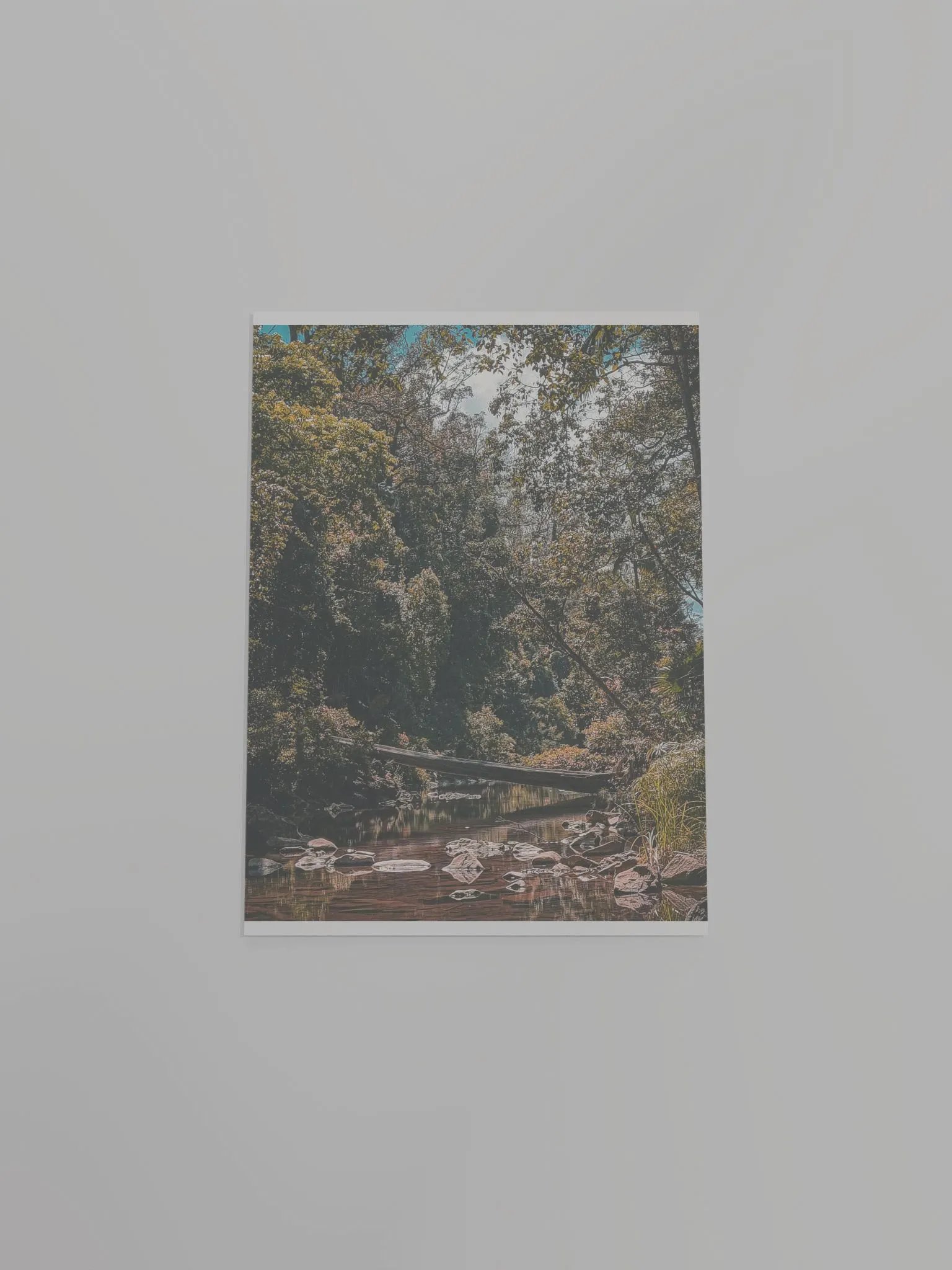 Eungella Broken River product image (20)