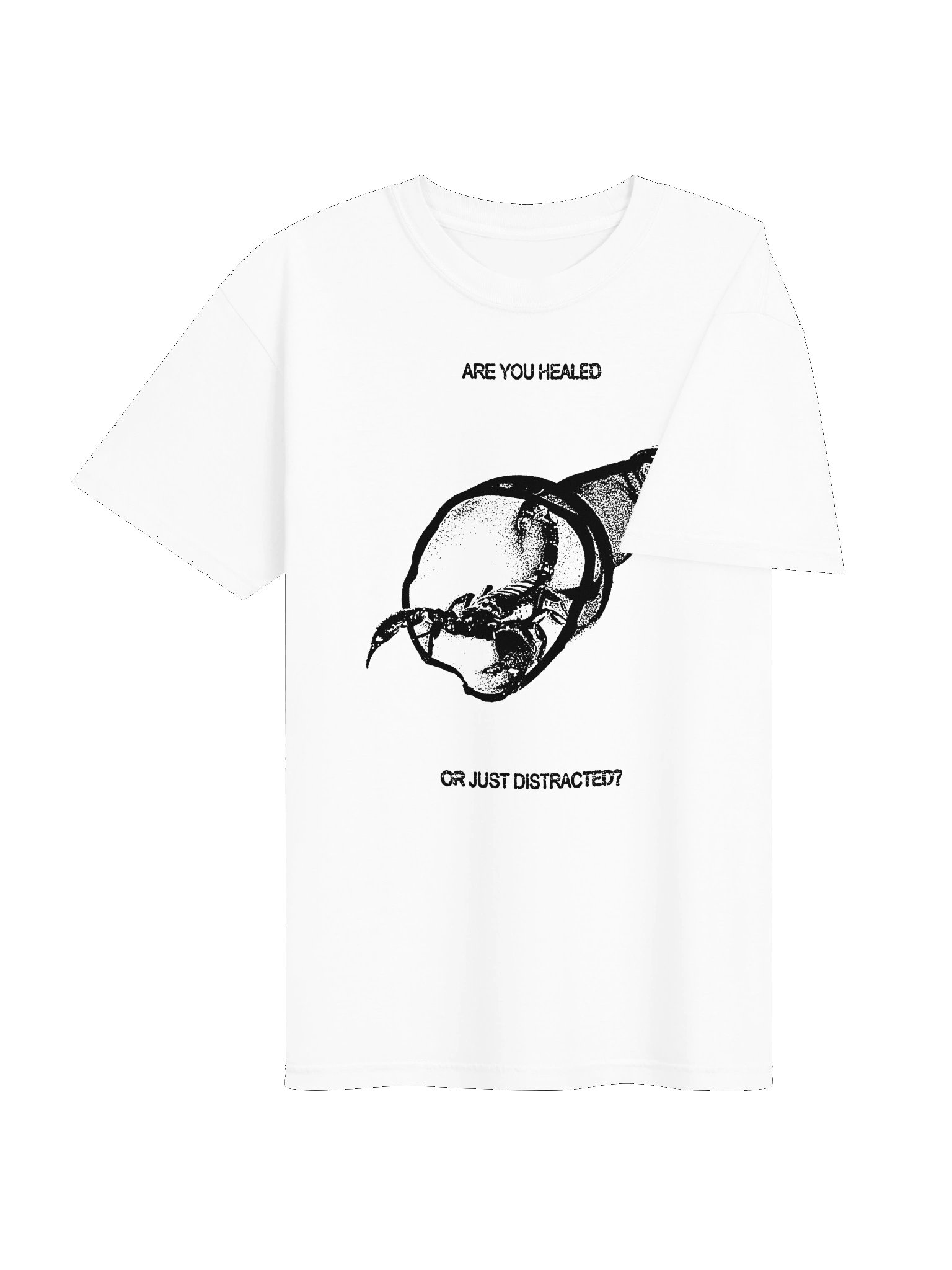 HEALED/DISTRACTED T-SHIRT product image (4)