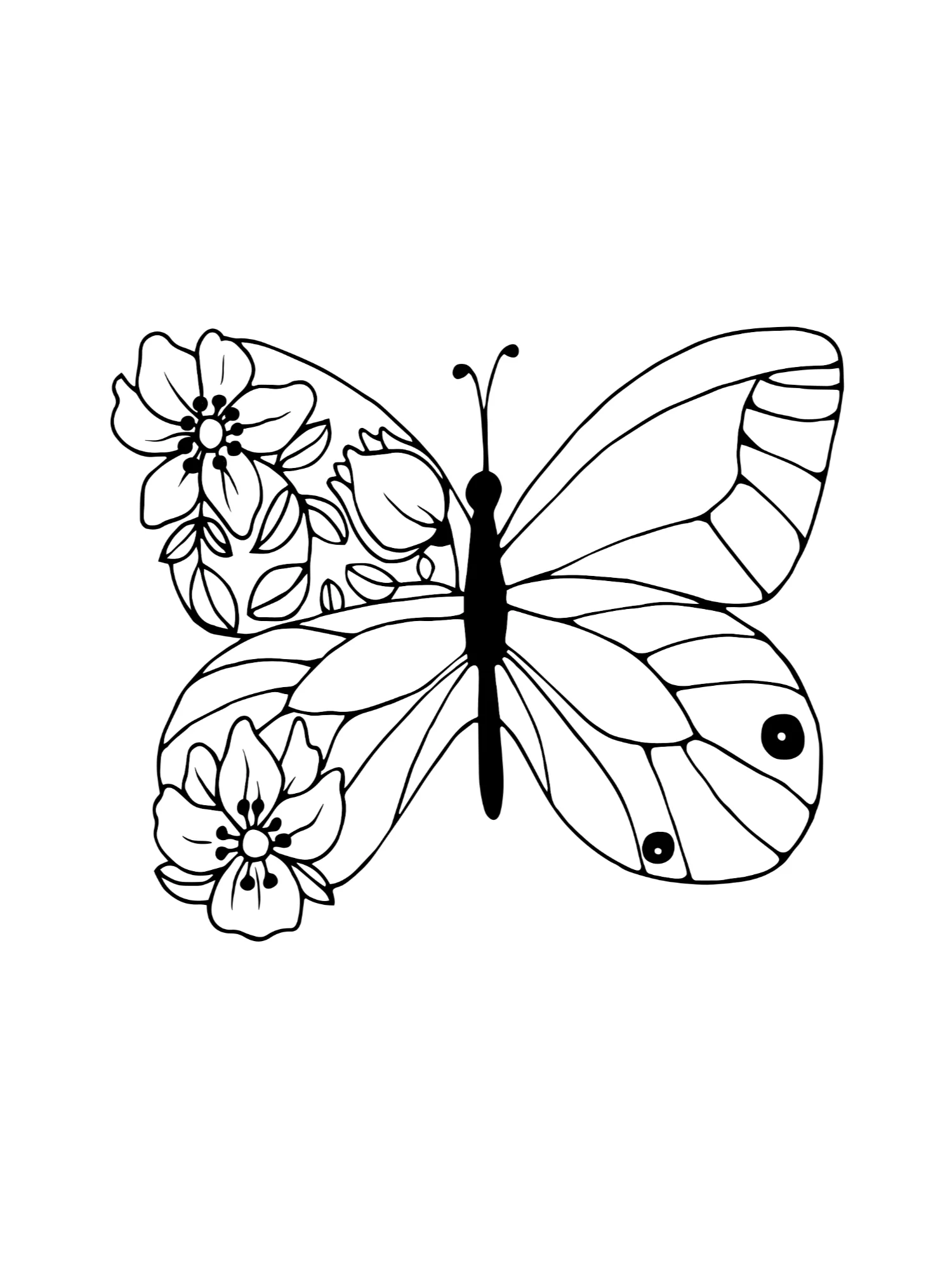 Butterfly Garden product image (2)
