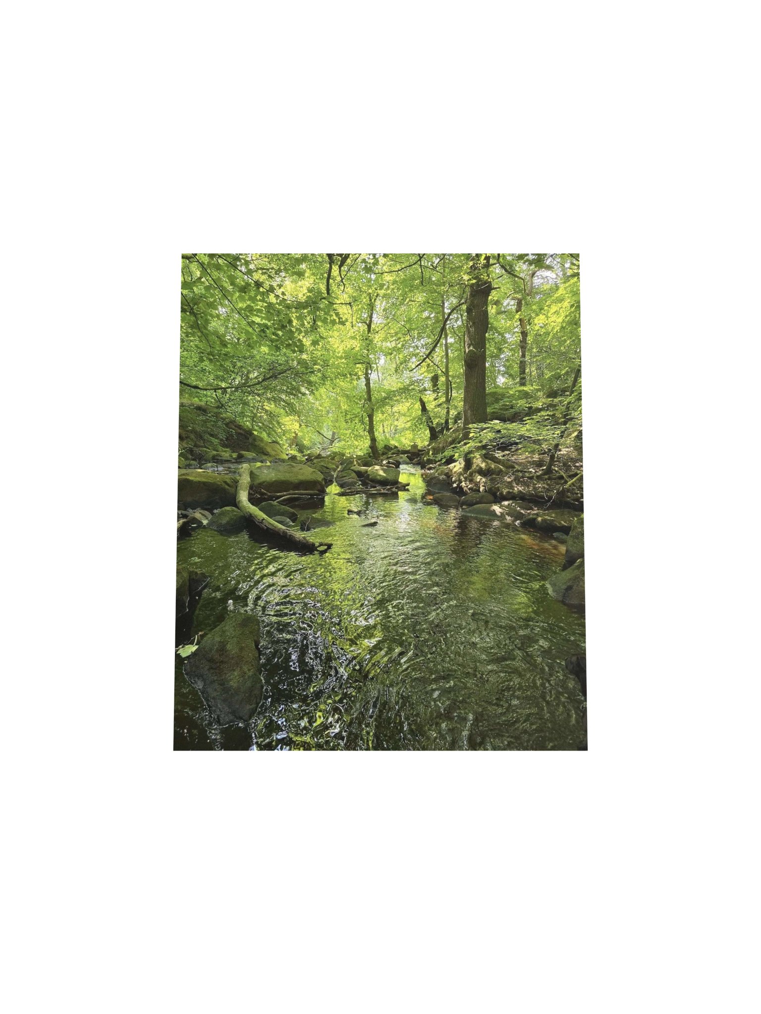 Padley Gorge product image (4)