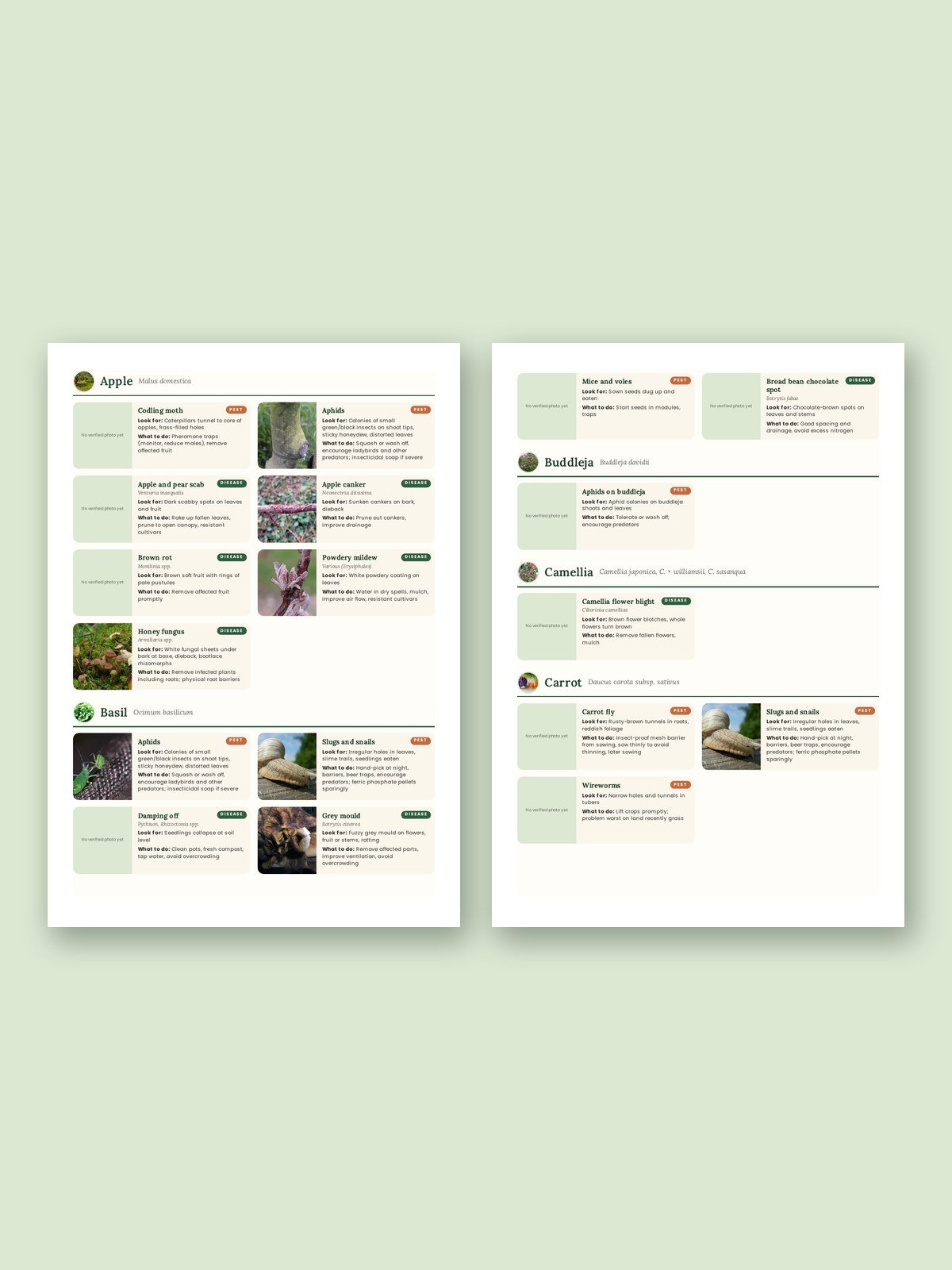 The Plant Doctor: Pest and Disease Charts (UK Edition) product image (2)