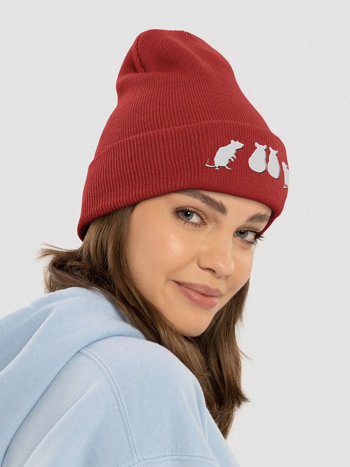 Oh rats! beanie product image (2)
