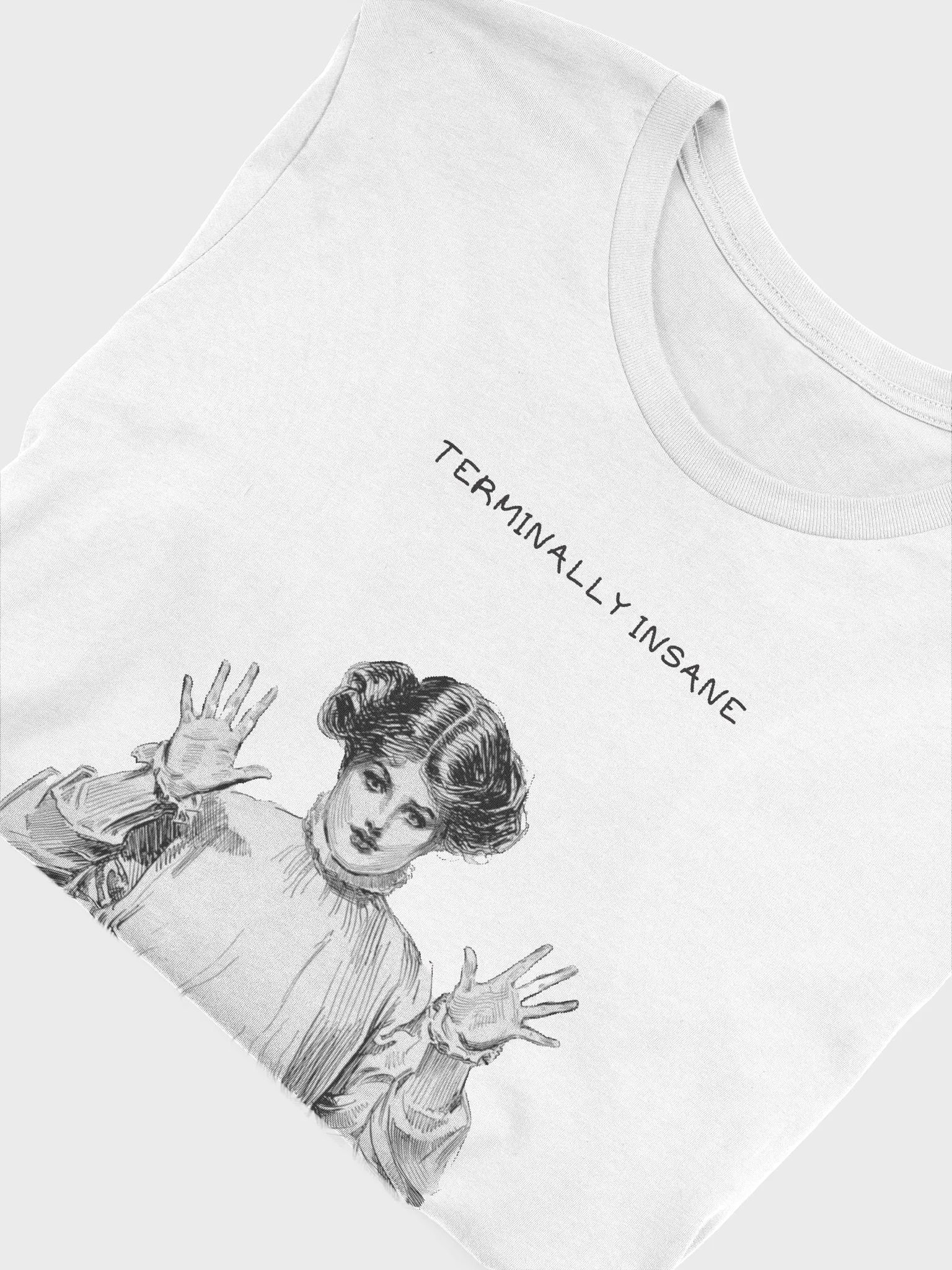 Terminally Insane product image (5)