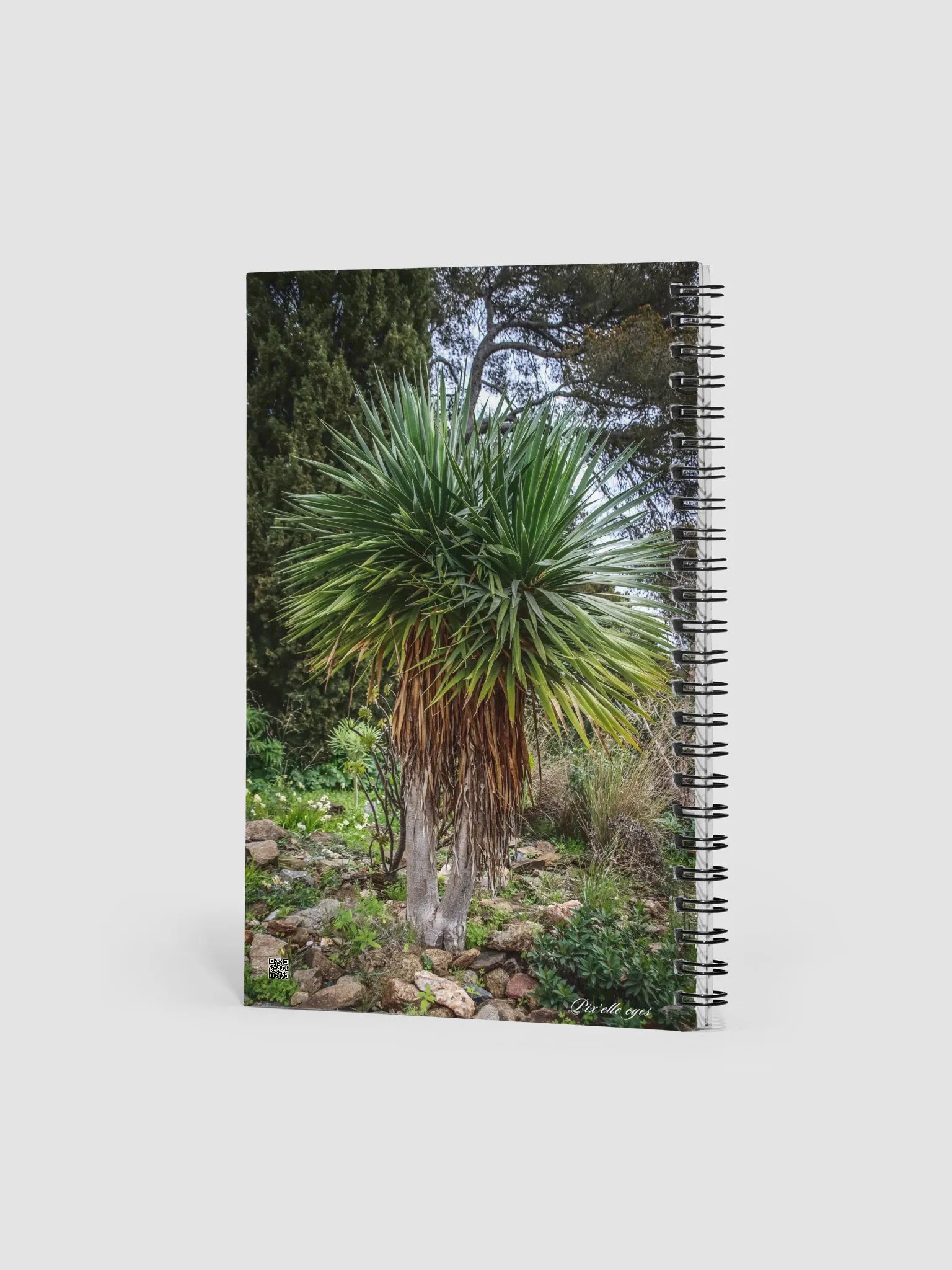 📓 Notebook Collection PURE – Jardin du Rayol – Le Veilleur de Pierres product image (2)