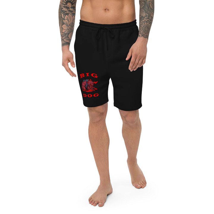 BIG DOG SHORTS product image (1)