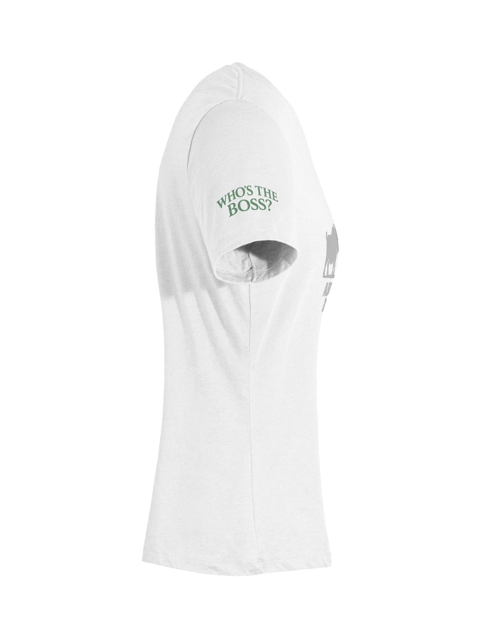 ROUND 42: ABDUCTION DENIED WOMEN'S V-NECK product image (11)