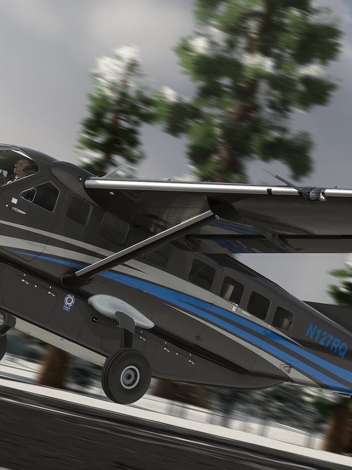 C208B EX VIP Livery Pack product image (2)