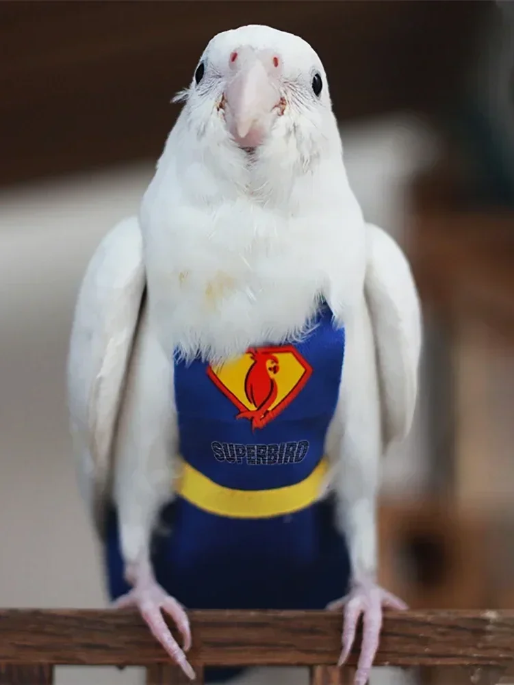 Diapers for Birds product image (5)