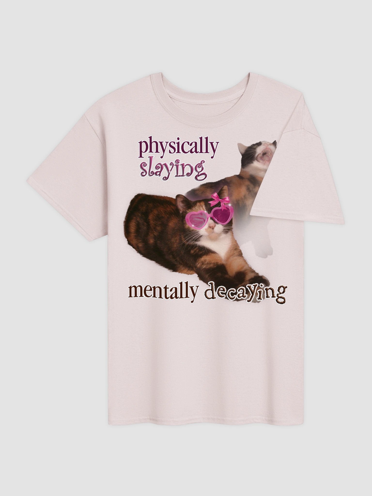 Physically Slaying Mentally Decaying - Cat T-shirt product image (5)