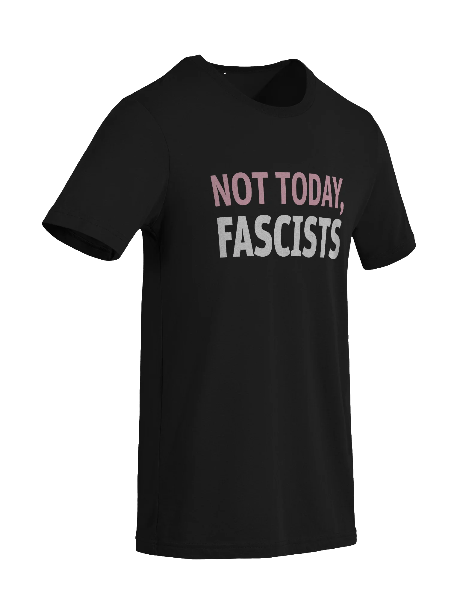 Not Today, Fascists Unisex T-Shirt product image (9)