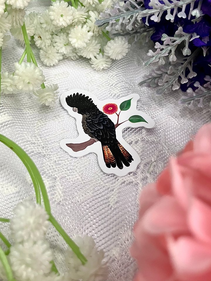 Red Tailed Black Cockatoo Vinyl Sticker product image (2)