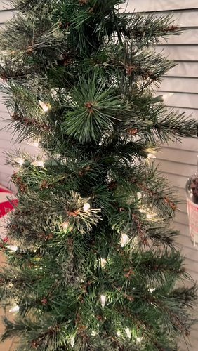 When you’re in your 20’s, have free will and run a whiskey account…🤣 this is what your Christmas tree looks like!!