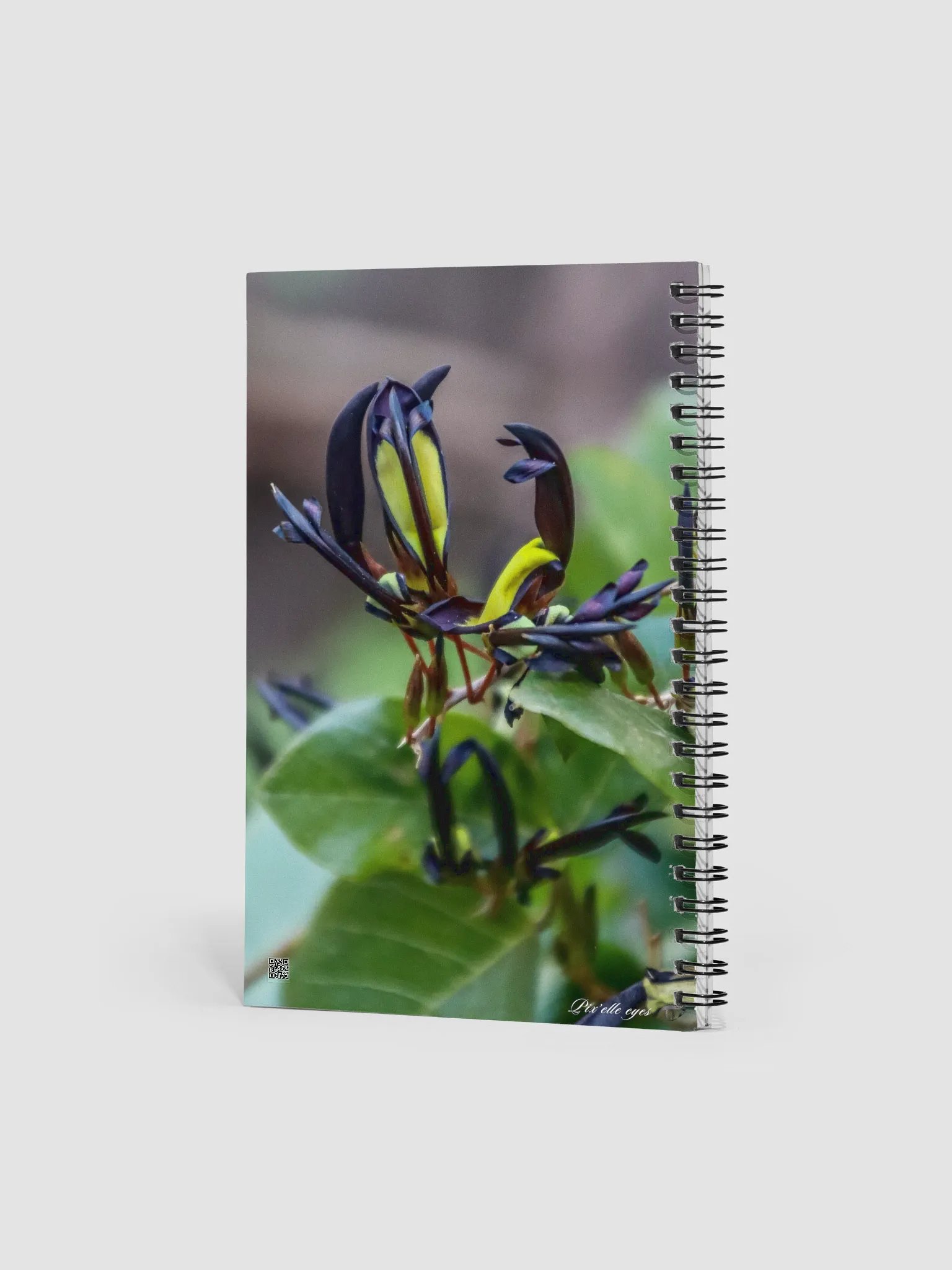 📘 Notebook Collection PURE – Jardin du Rayol – Kennedia nigricans product image (2)