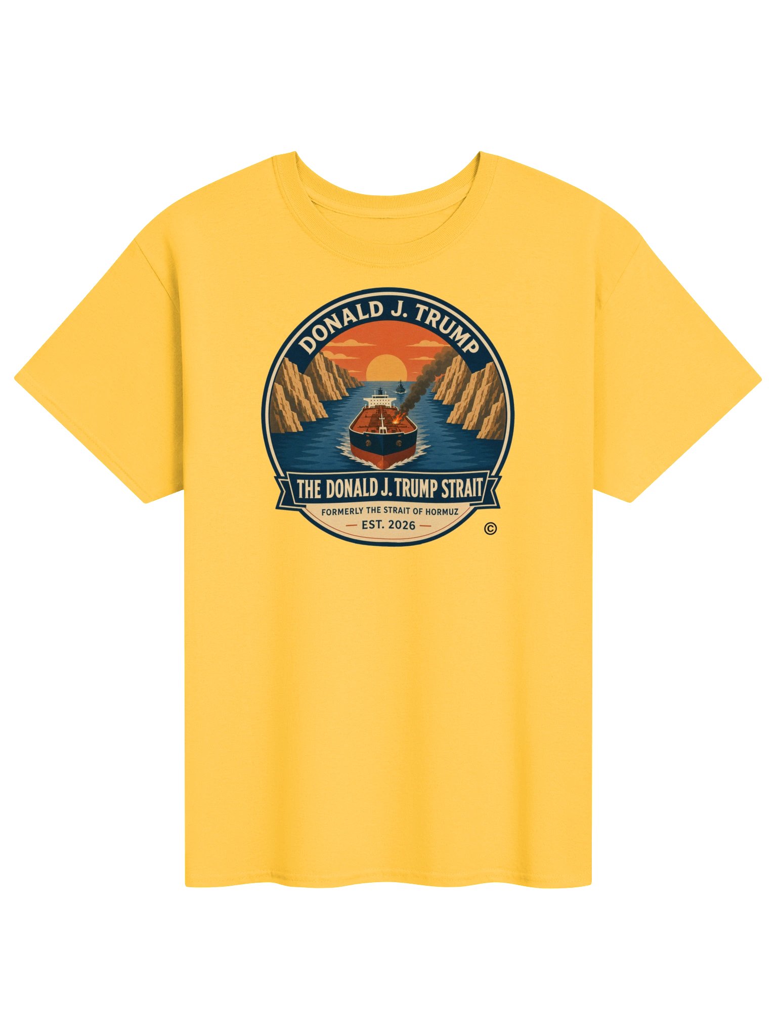 Gildan Heavyweight T-Shirt - The Donald J. Trump Strait™ product image (15)
