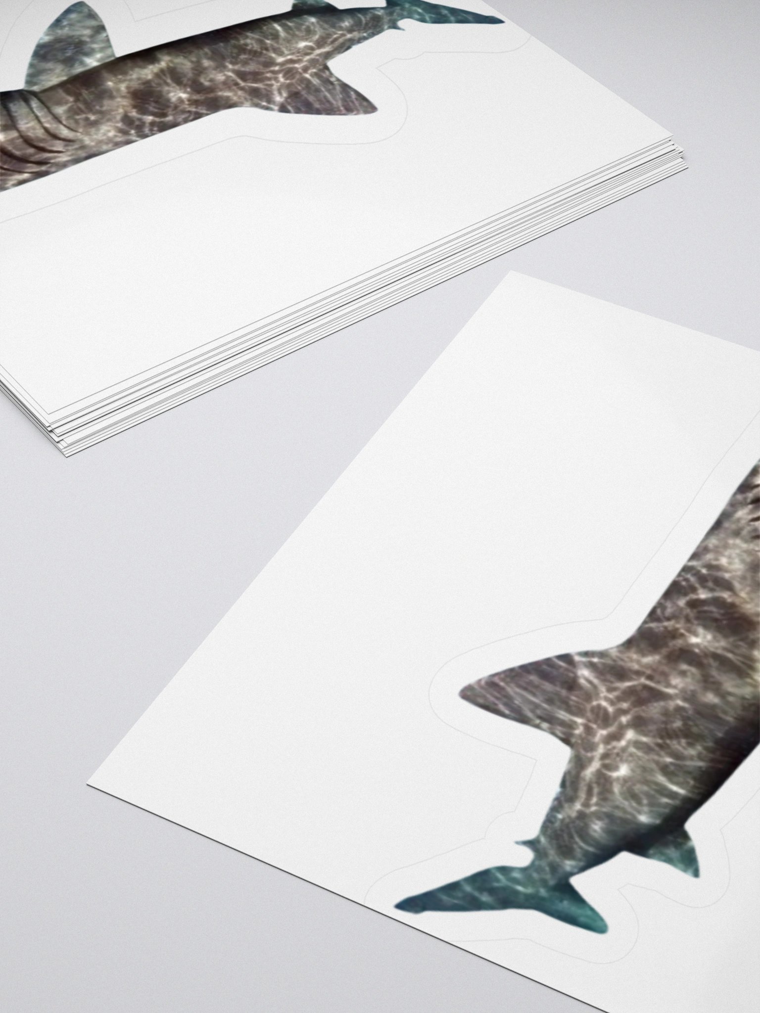 giant basking shark sticker product image (13)